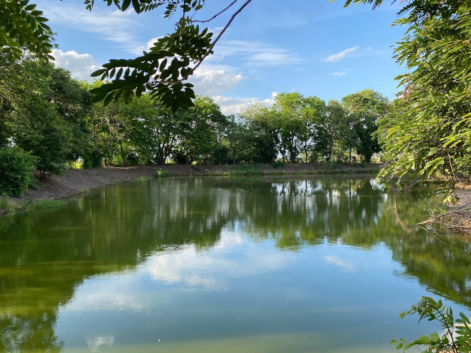 Cover Image for บ้านกลางน้ำ รีสอร์ท บางปะหัน