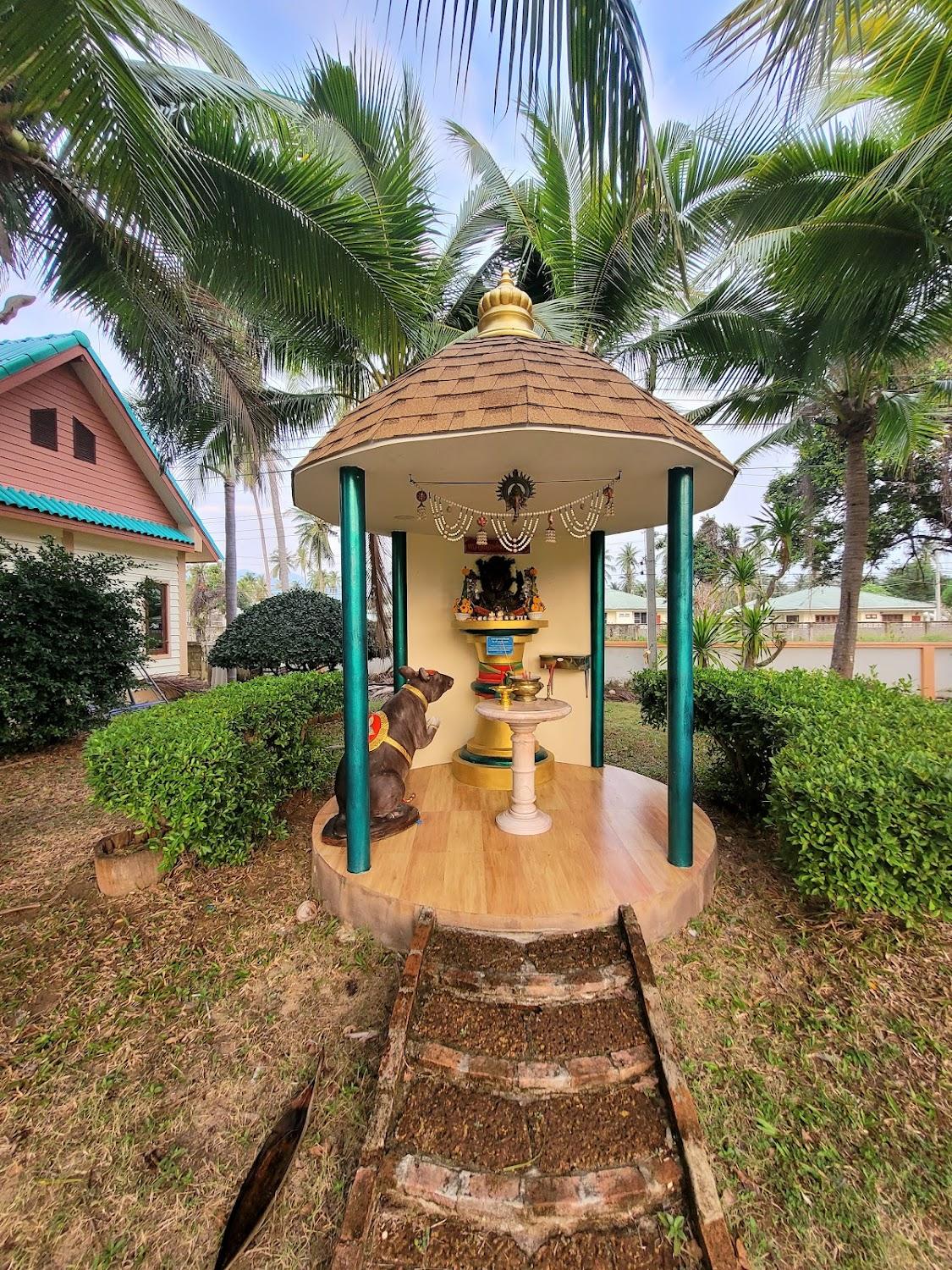 Cover Image for The green resort