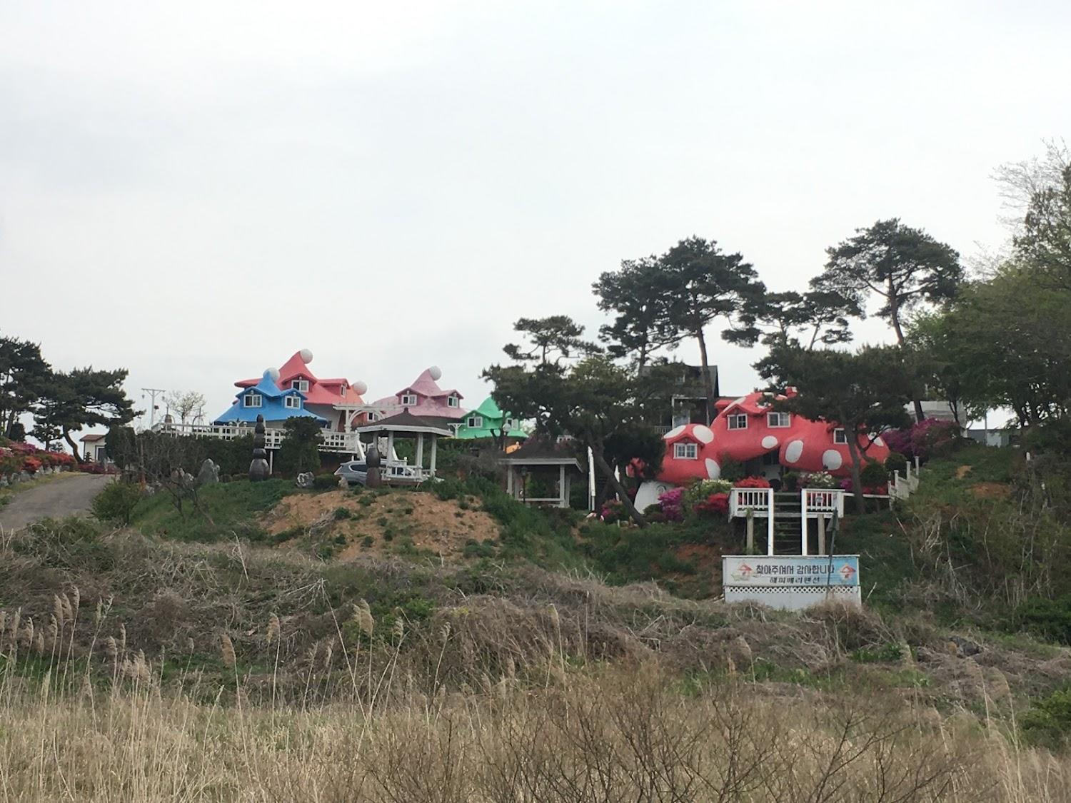 Cover Image for 해피베리펜션