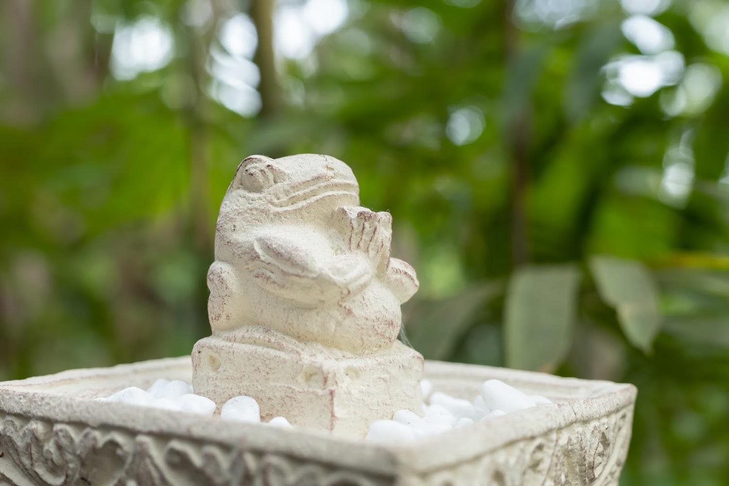 Cover Image for Thalassa Dive & Wellbeing Resort Manado