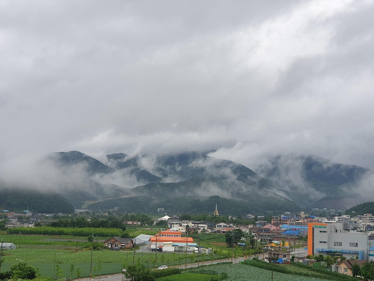 Cover Image for 메밀꽃필무렵모텔