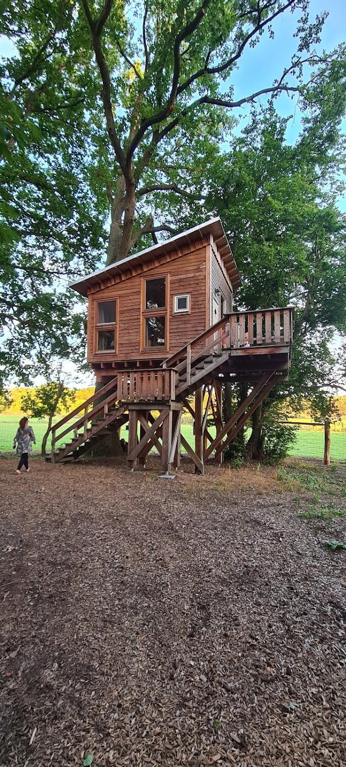 Cover Image for Baumhaushotel Uckermark
