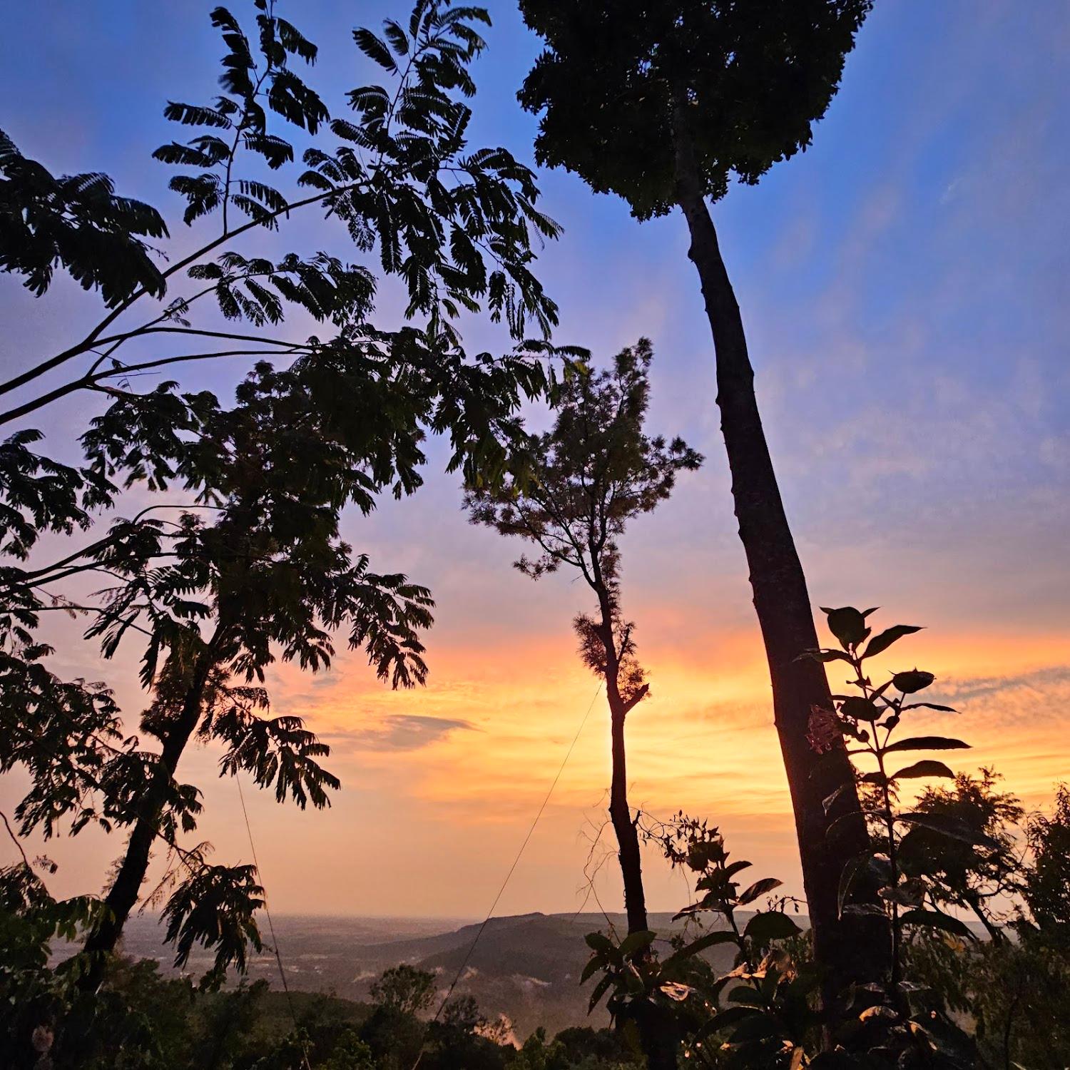 Cover Image for Phongtang Garden