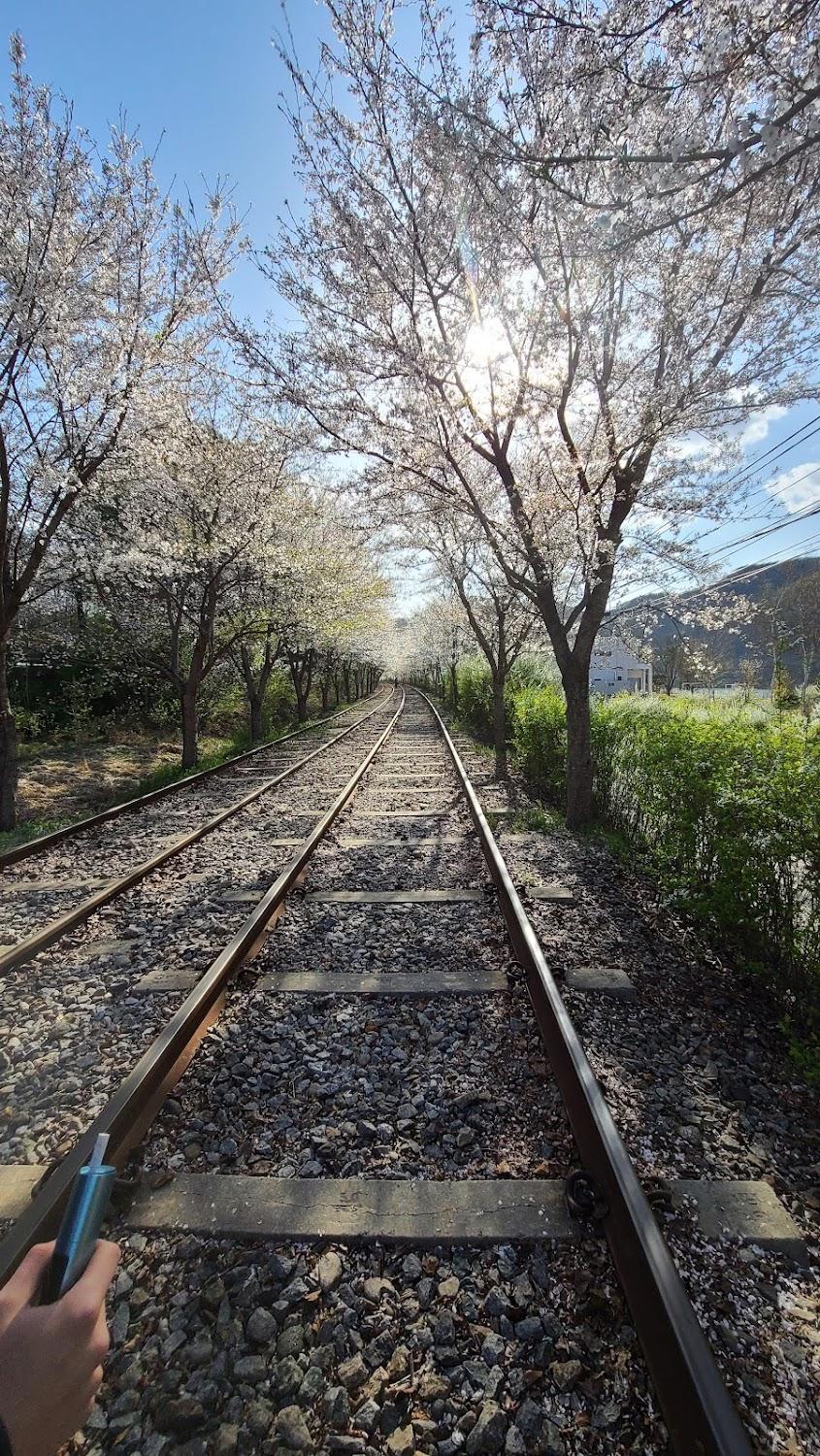 Cover Image for 간이역펜션