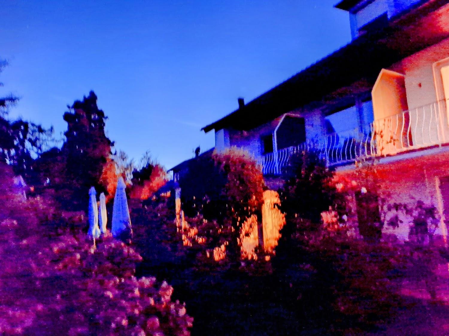 Cover Image for Hotel Ebnet Lindau