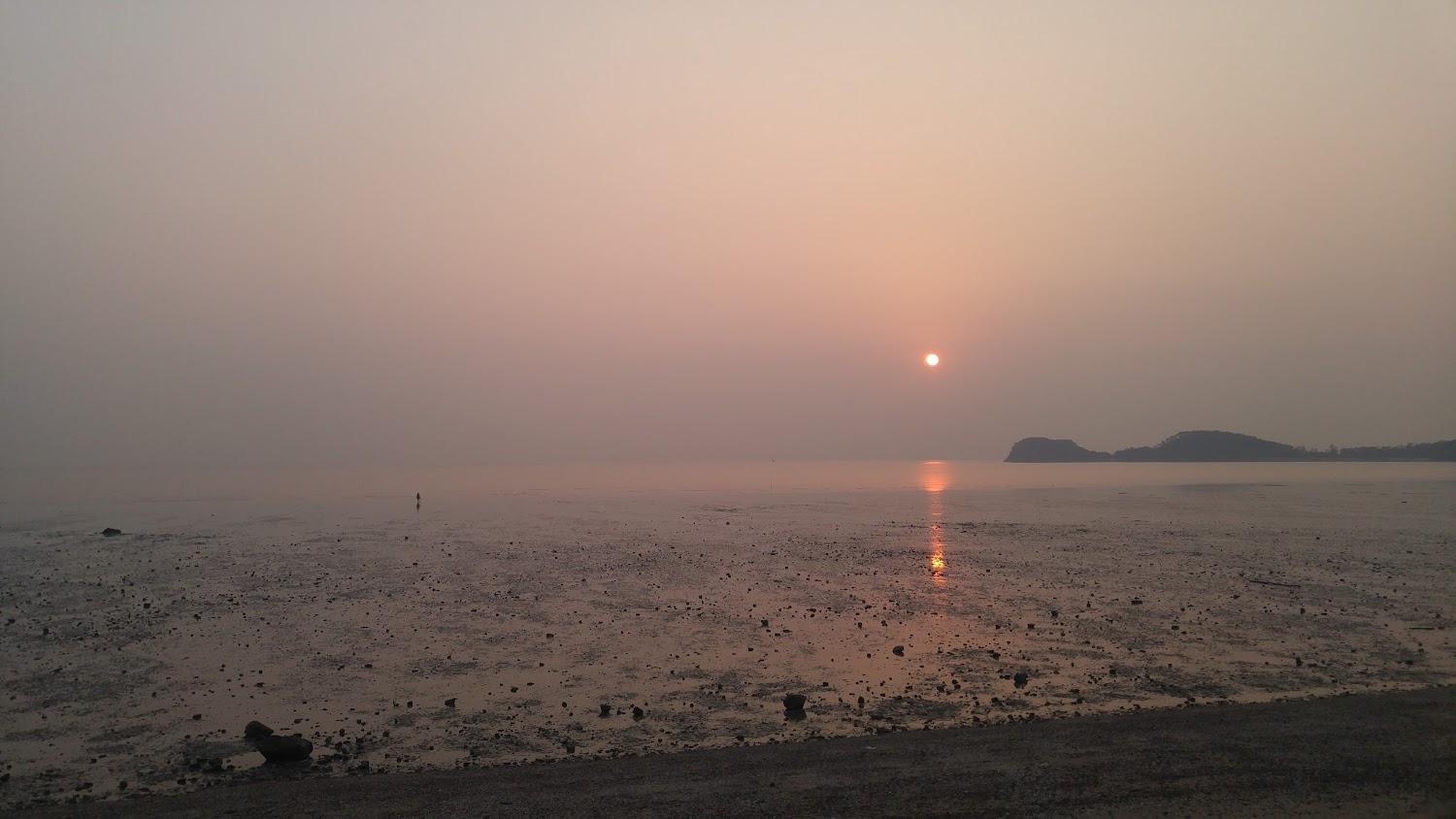 Cover Image for 안산 섬마을예쁜펜션