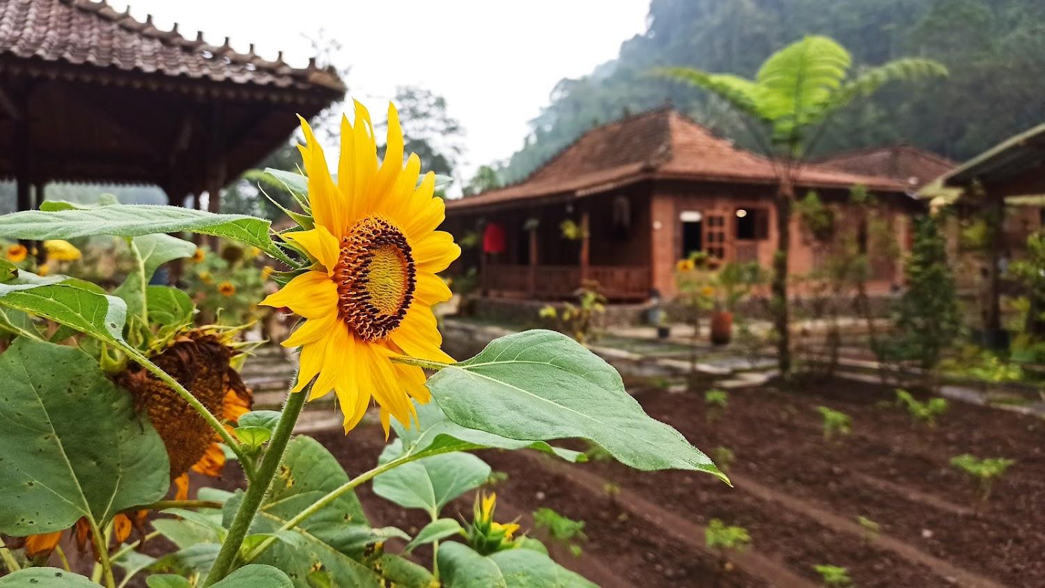 Cover Image for Rumah Lembah