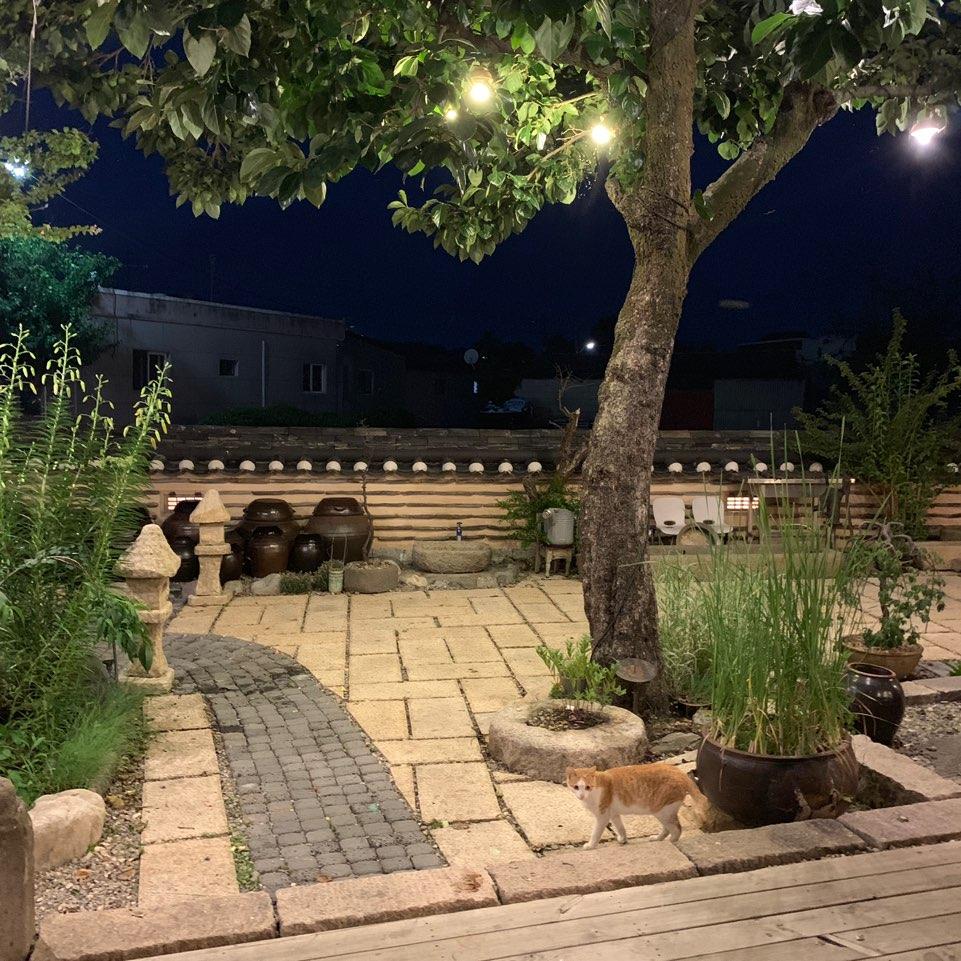 Cover Image for 행복한집