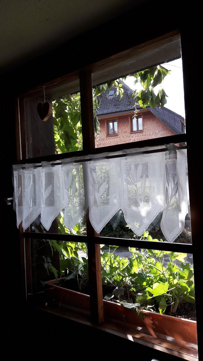 Cover Image for DJH Jugendherberge Menzenschwand