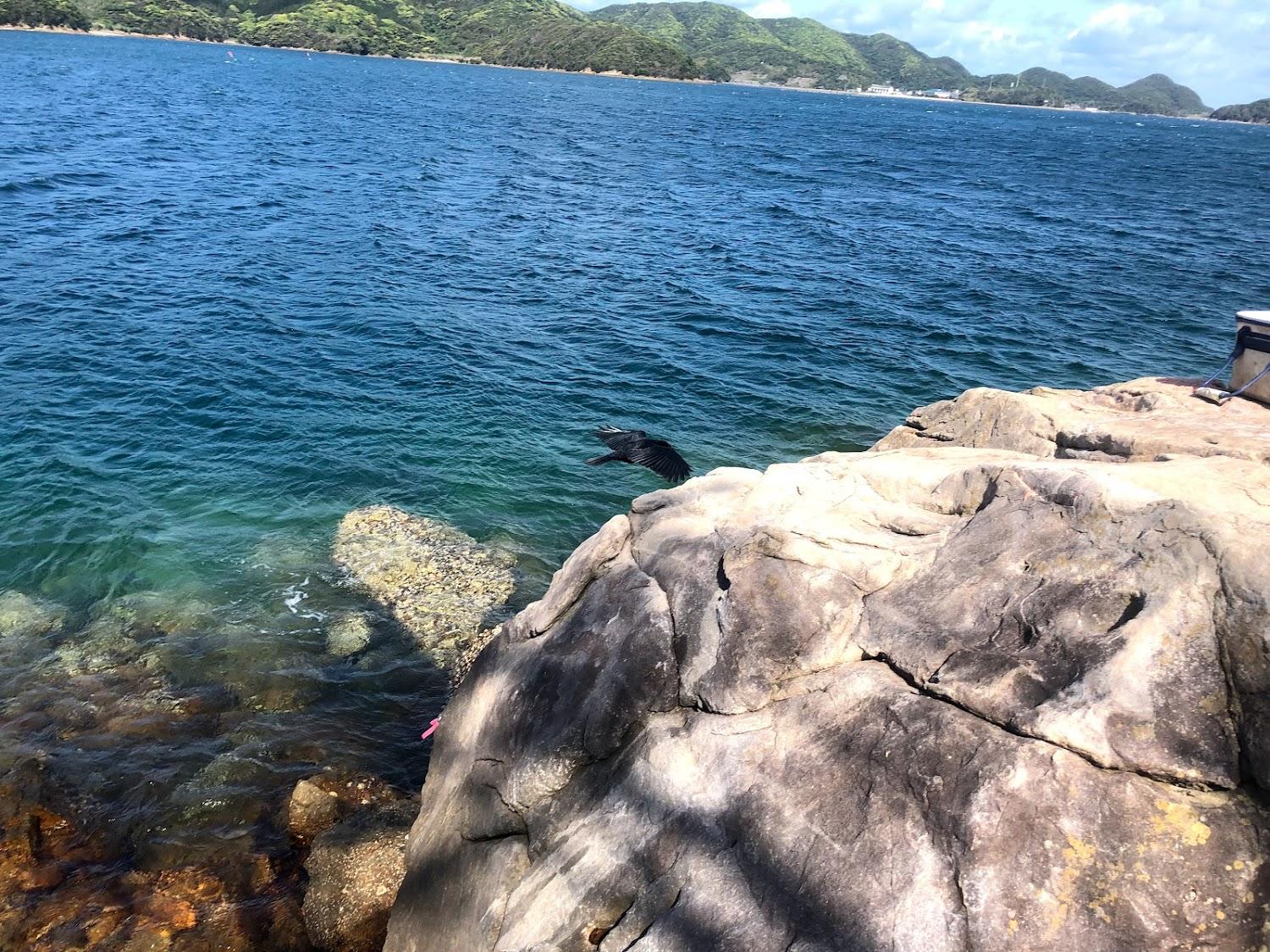 Cover Image for 民宿みやこ