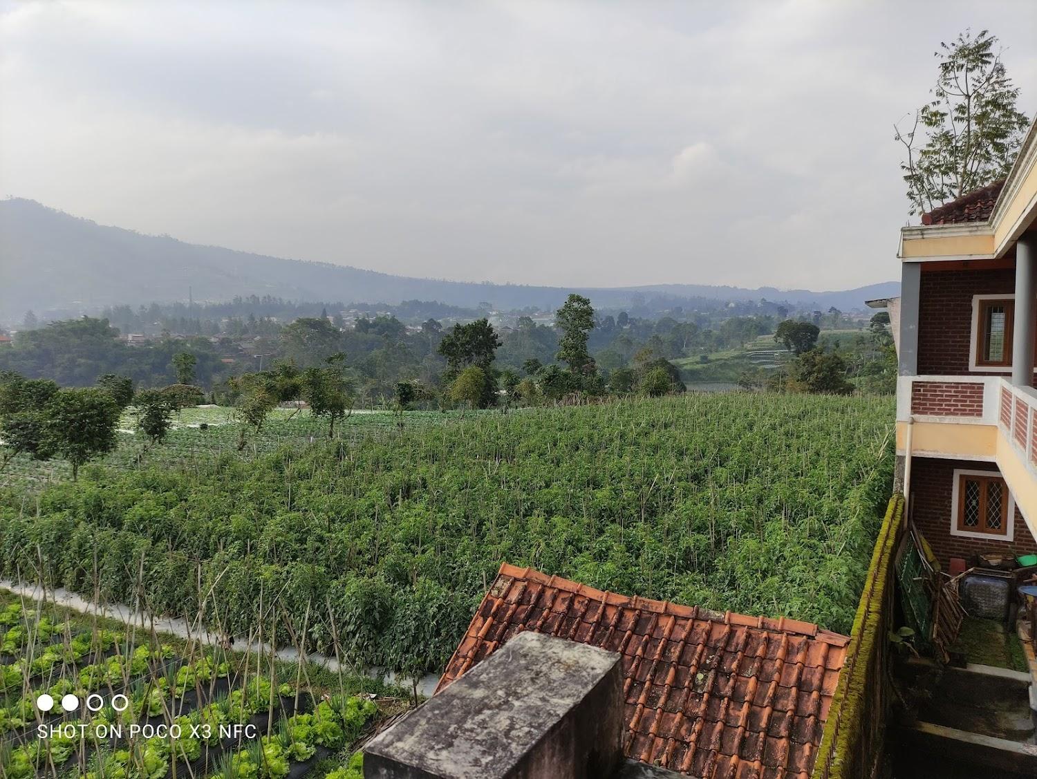 Cover Image for Vila Orange lembang