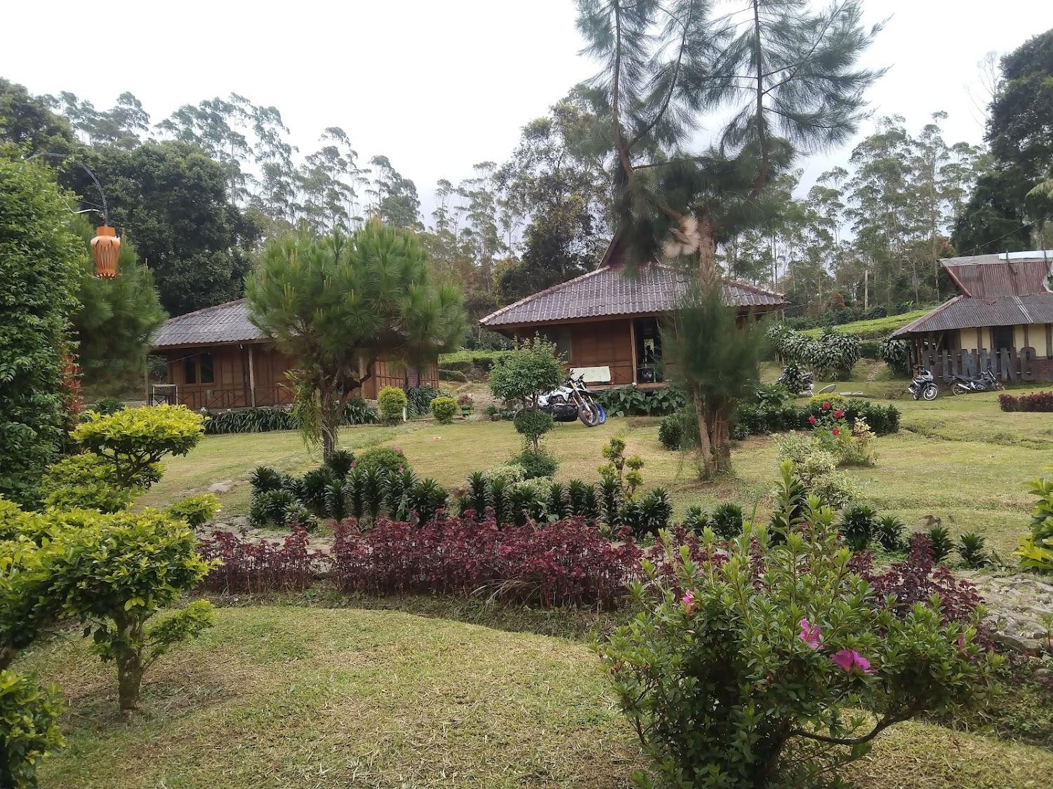 Cover Image for Guest House Ciwalini