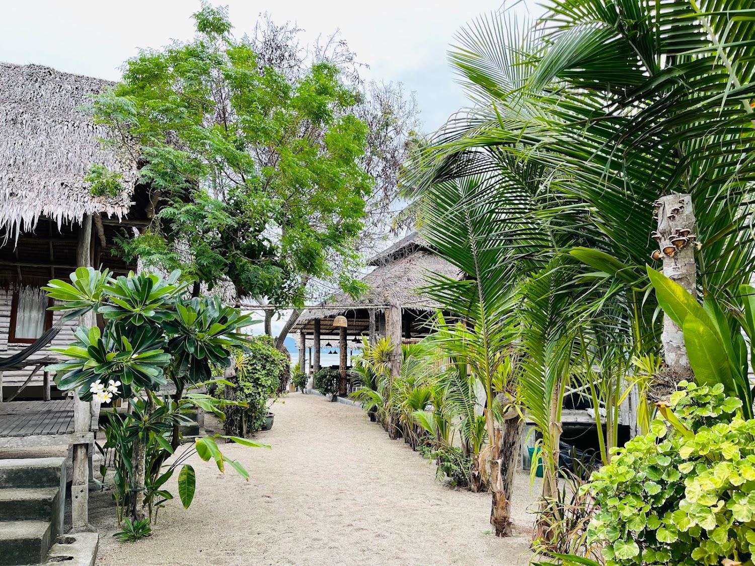 Cover Image for Absolute Beachfront Resort