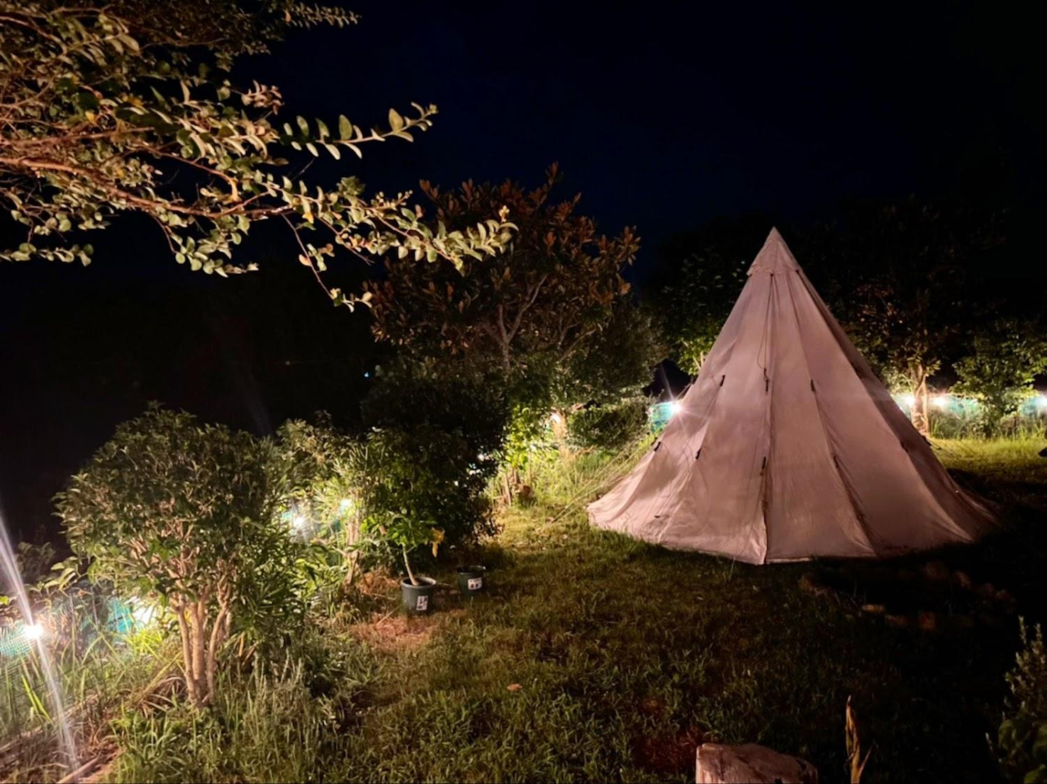 Cover Image for Guesthouse Papaya