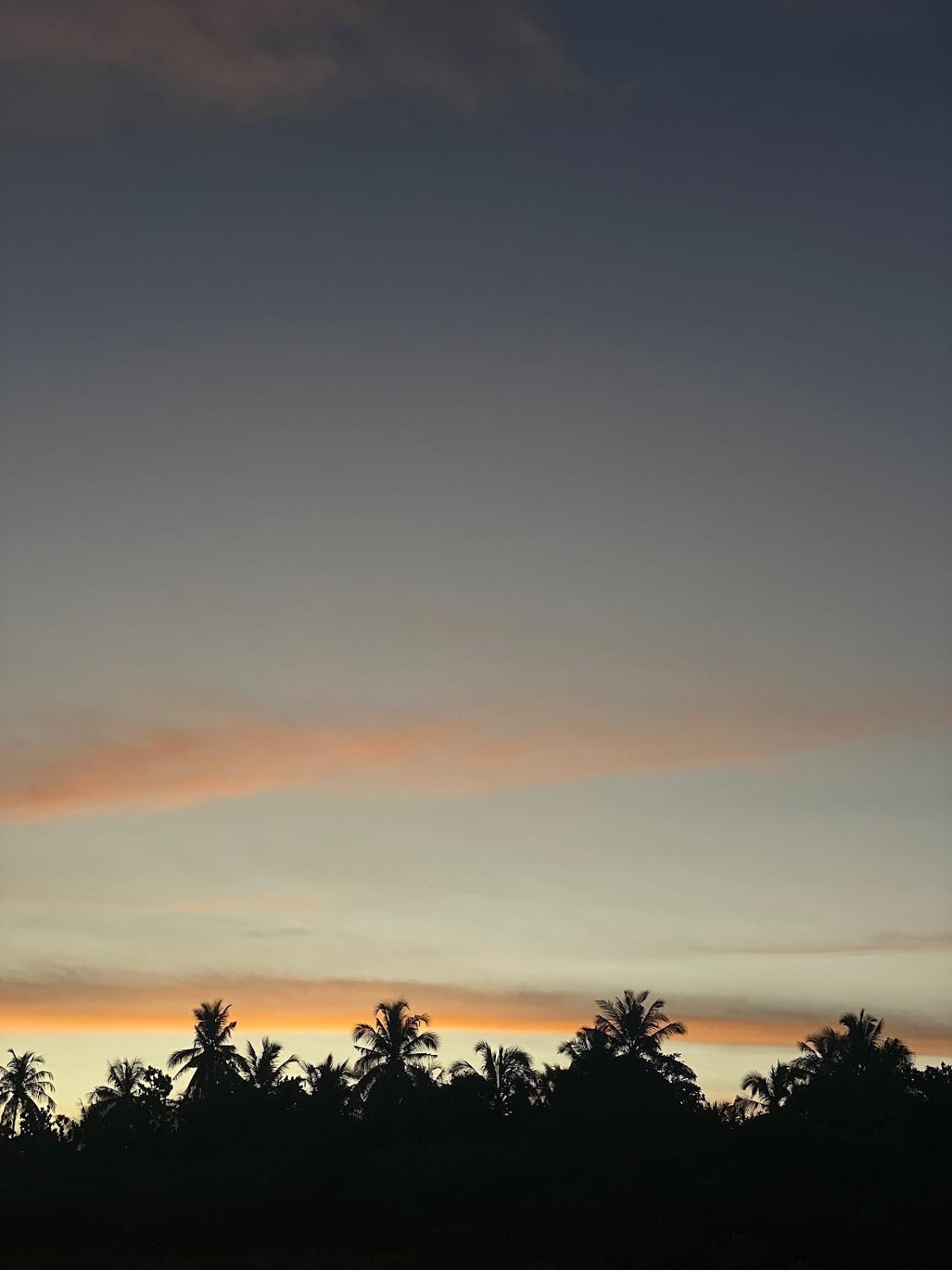 Cover Image for Awera Island Surf Camp