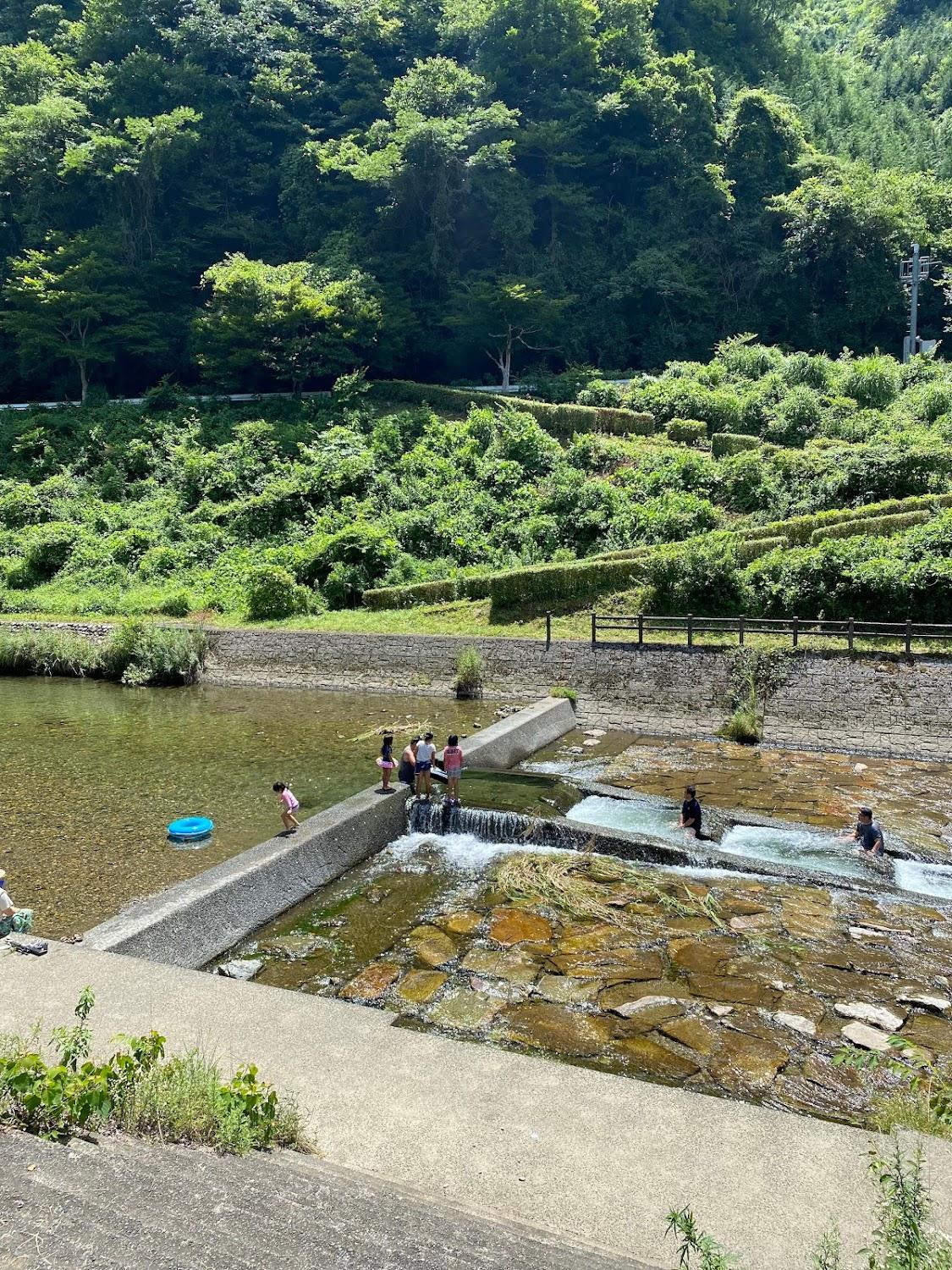 Cover Image for Shinpeigahara Park Camping Ground