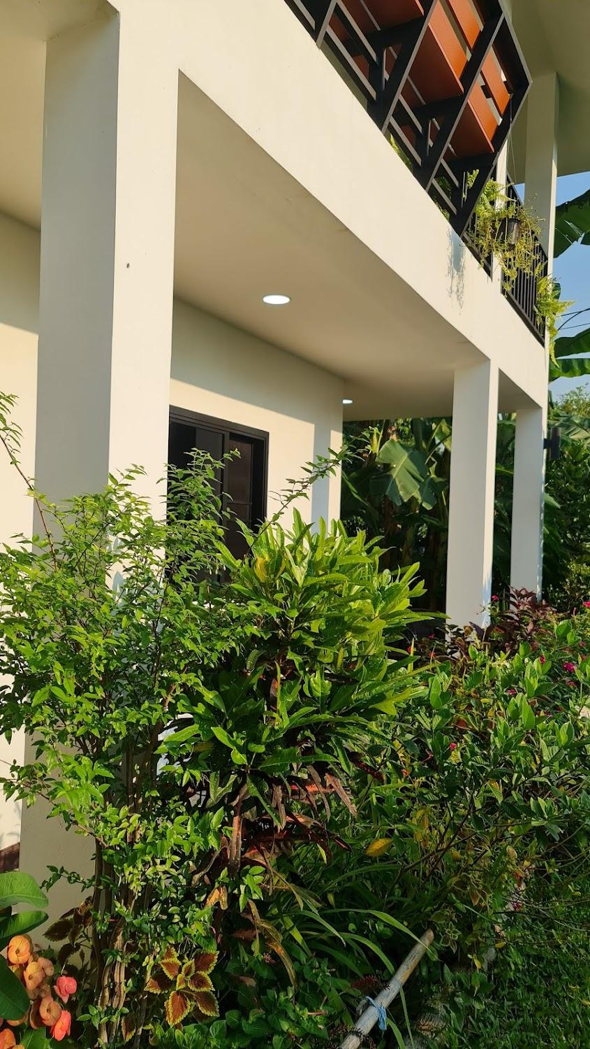 Cover Image for Mae On Miggi's Home