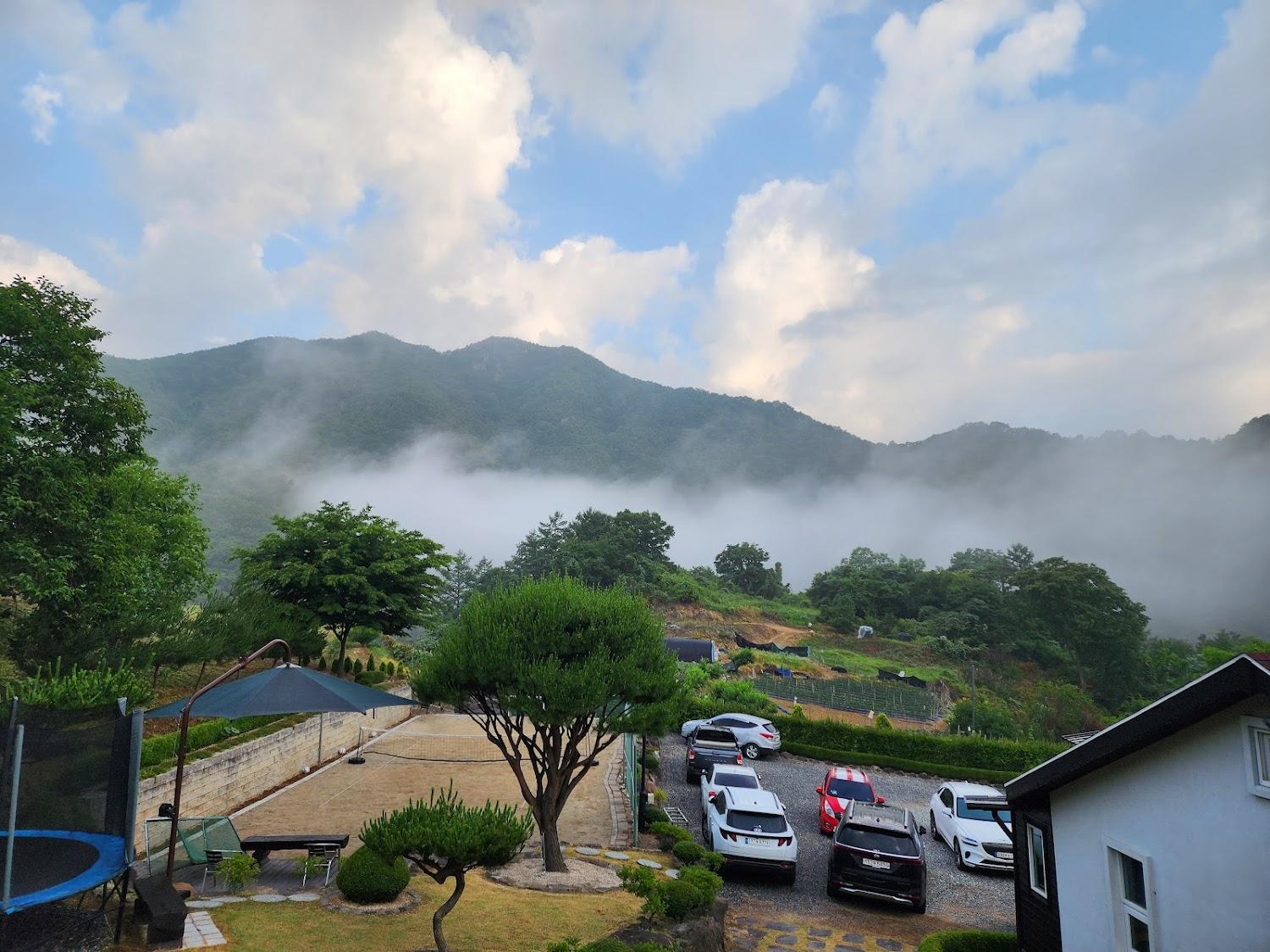 Cover Image for 가자현준네집