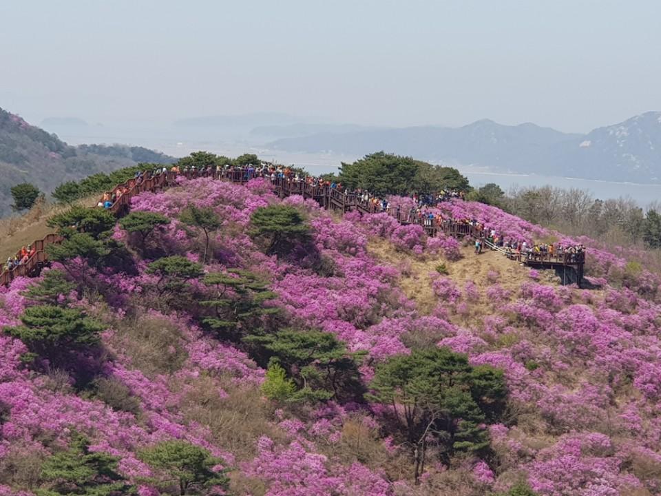Cover Image for 놀토