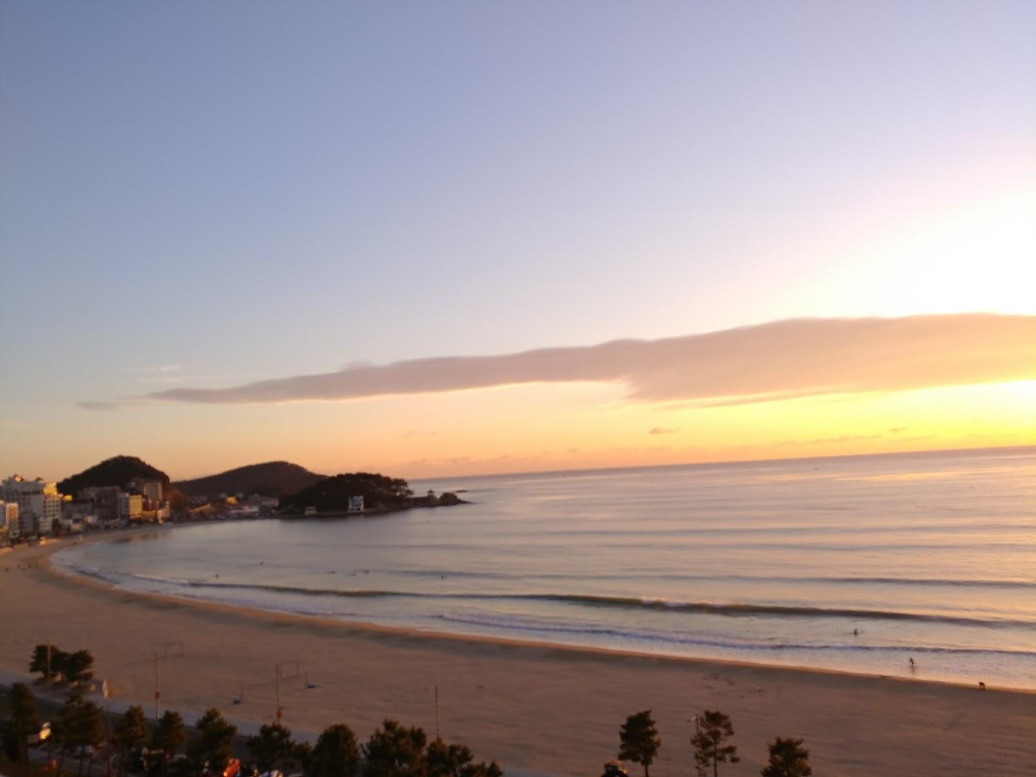 Cover Image for 모텔가든장