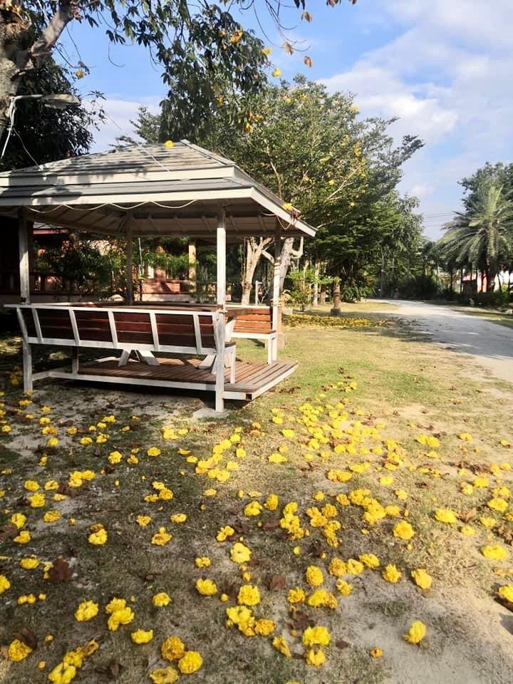 Cover Image for บ้านสวนทิพย์ รีสอร์ท บ้านฉาง