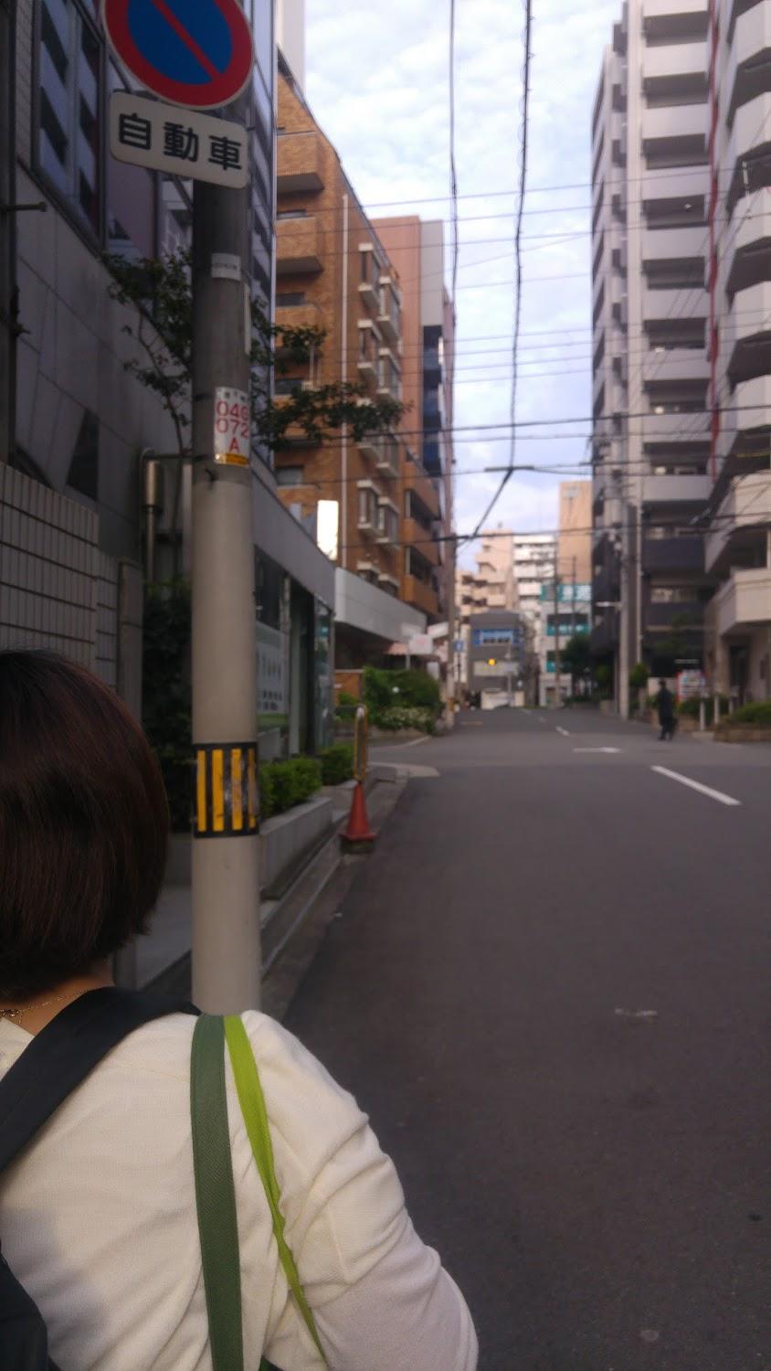 Cover Image for For Leaves Inn Uehonmachi