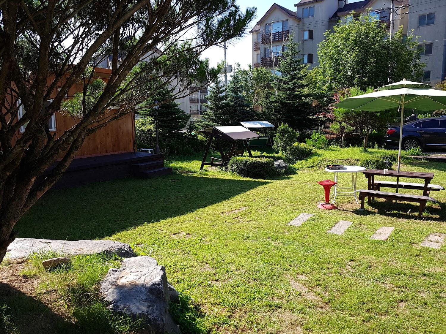 Cover Image for 숲속의별들