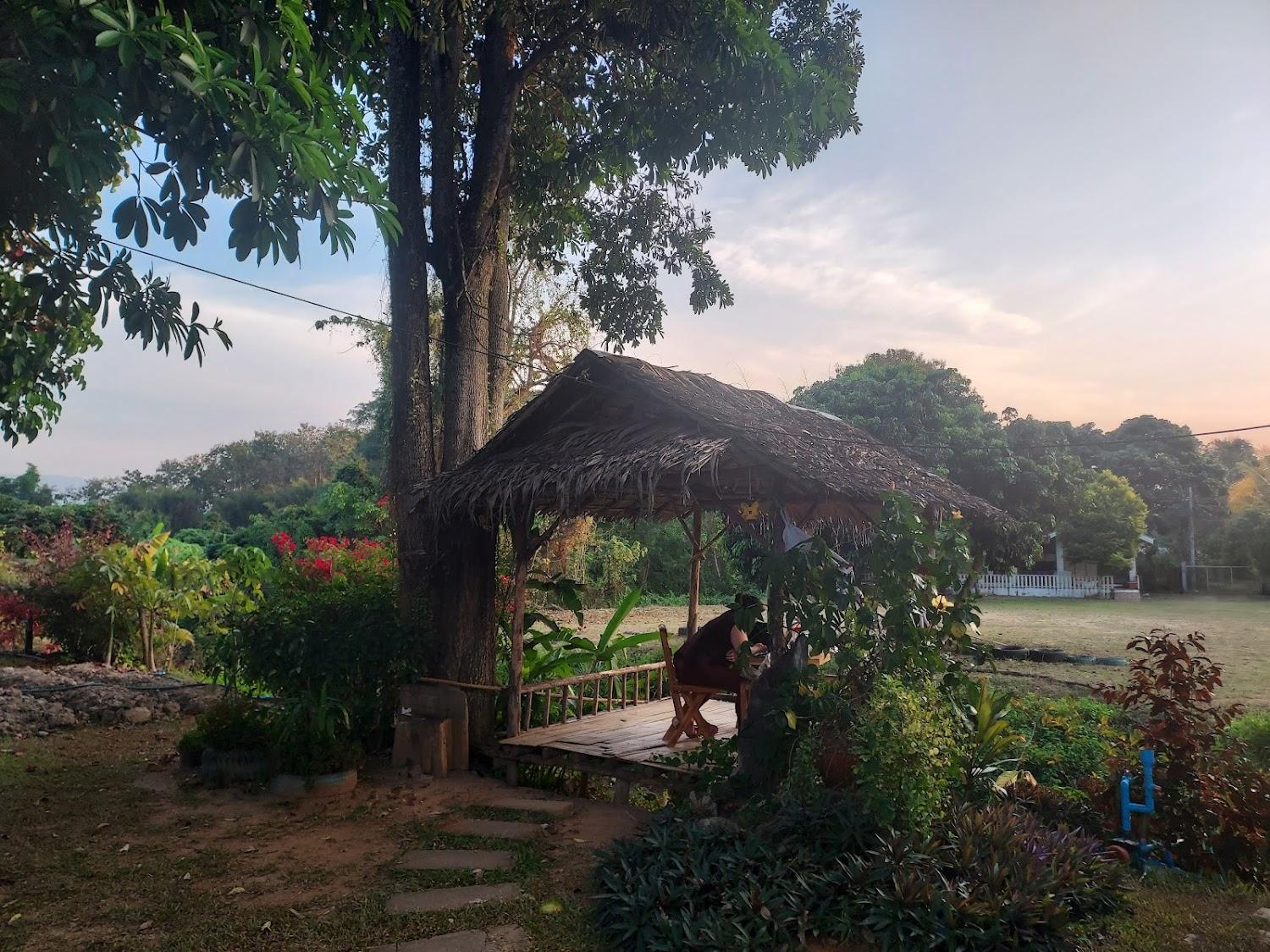 Cover Image for Chiang Dao Hostel ( เชียงดาวโฮลเทล )