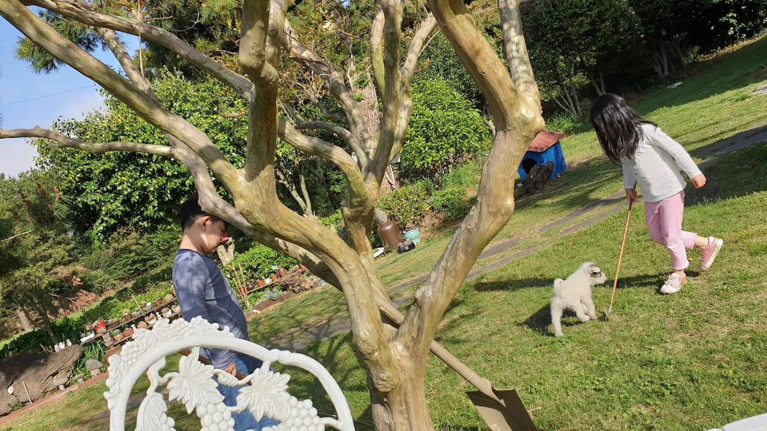Cover Image for 빨간지붕펜션