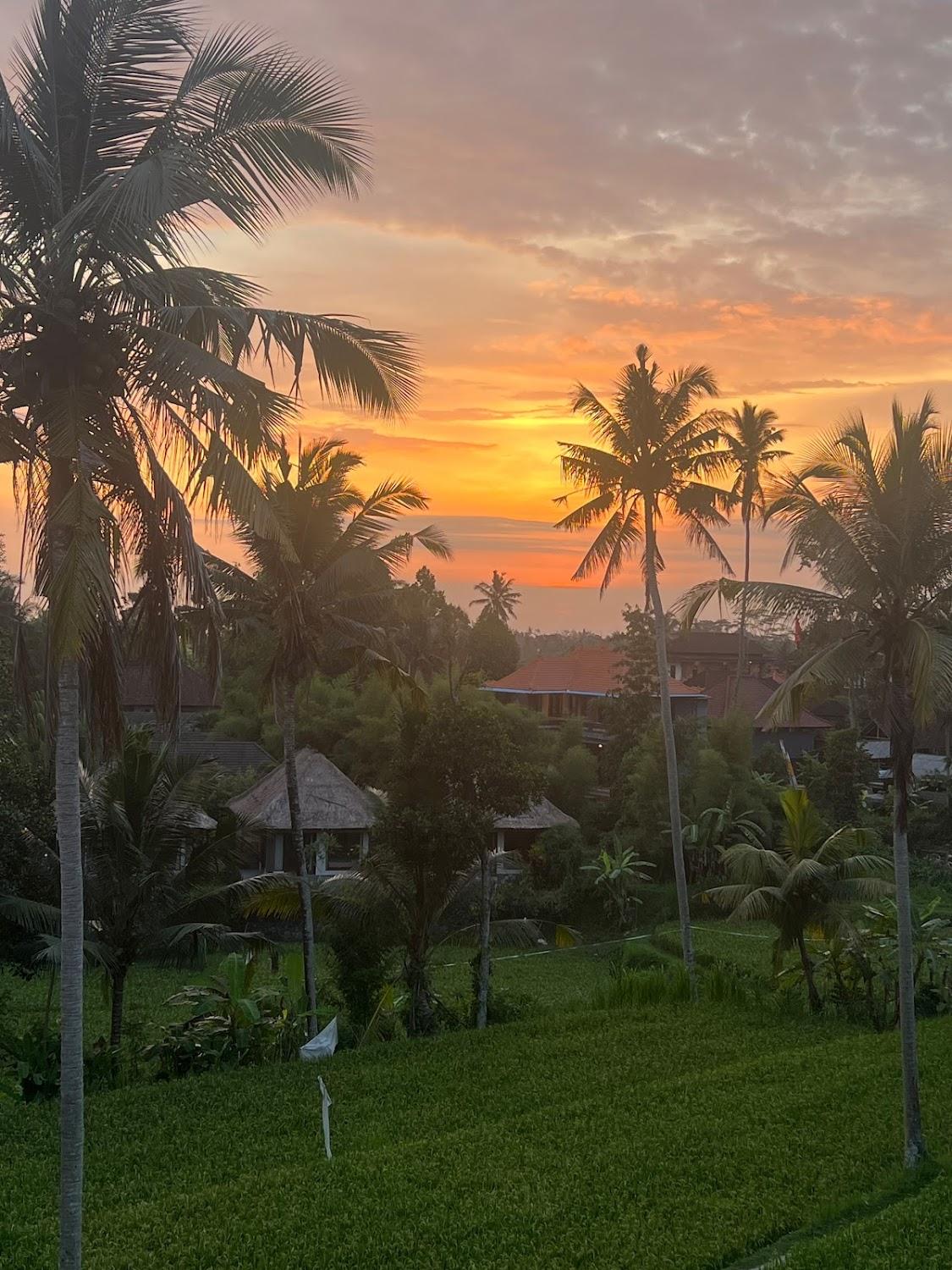 Cover Image for Adhidrawa Ubud