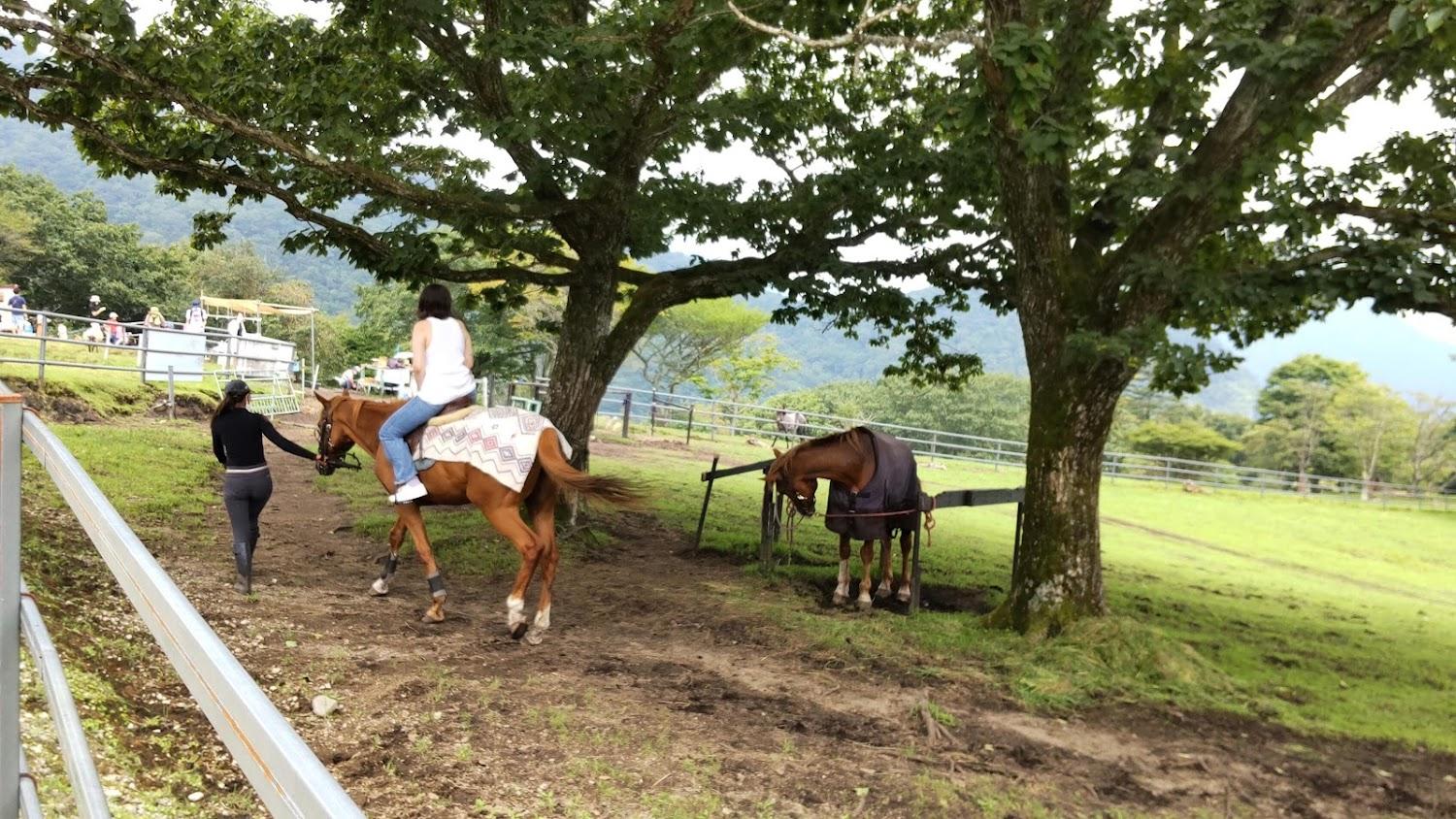 Cover Image for Ôzasa Farm Auto Campground