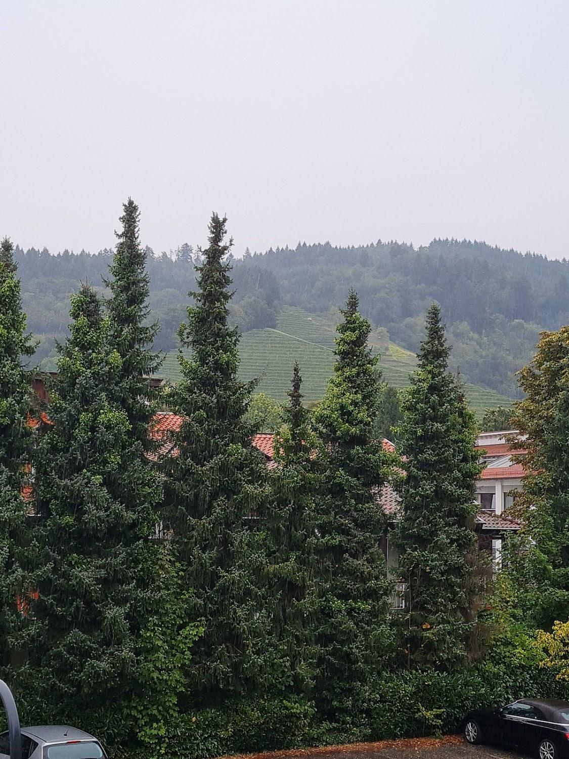 Cover Image for Hotel Obere Linde Oberkirch