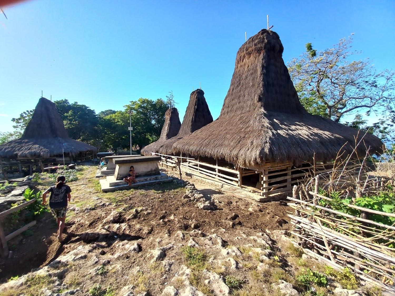 Cover Image for THE VILLAGE INN Rua Beach