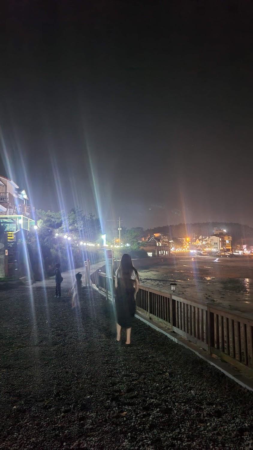 Cover Image for 돌고래펜션