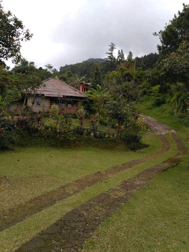 Cover Image for Villa Bambu
