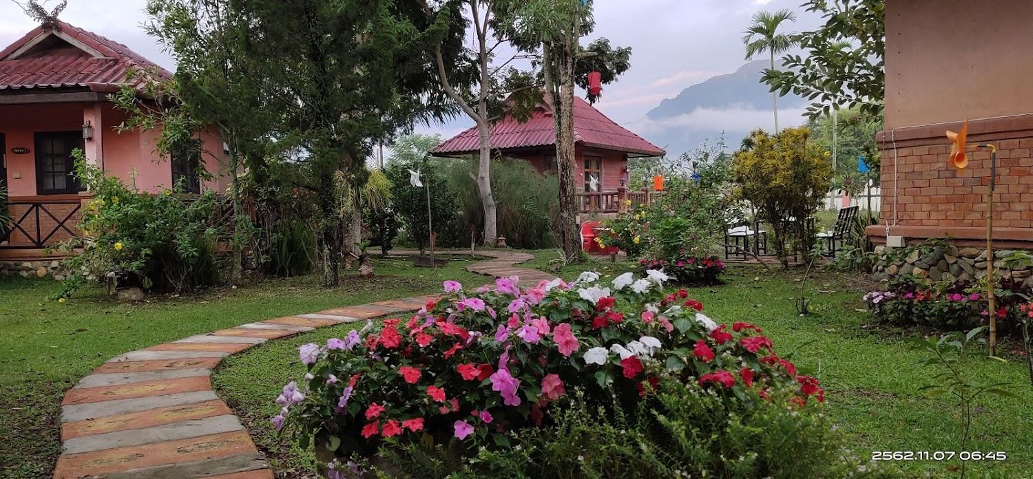 Cover Image for แม่สายดอยวิว