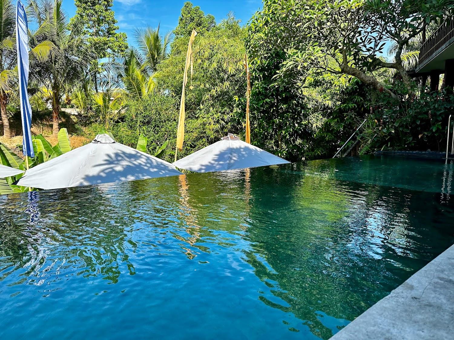 Cover Image for Mayura Ubud Retreat