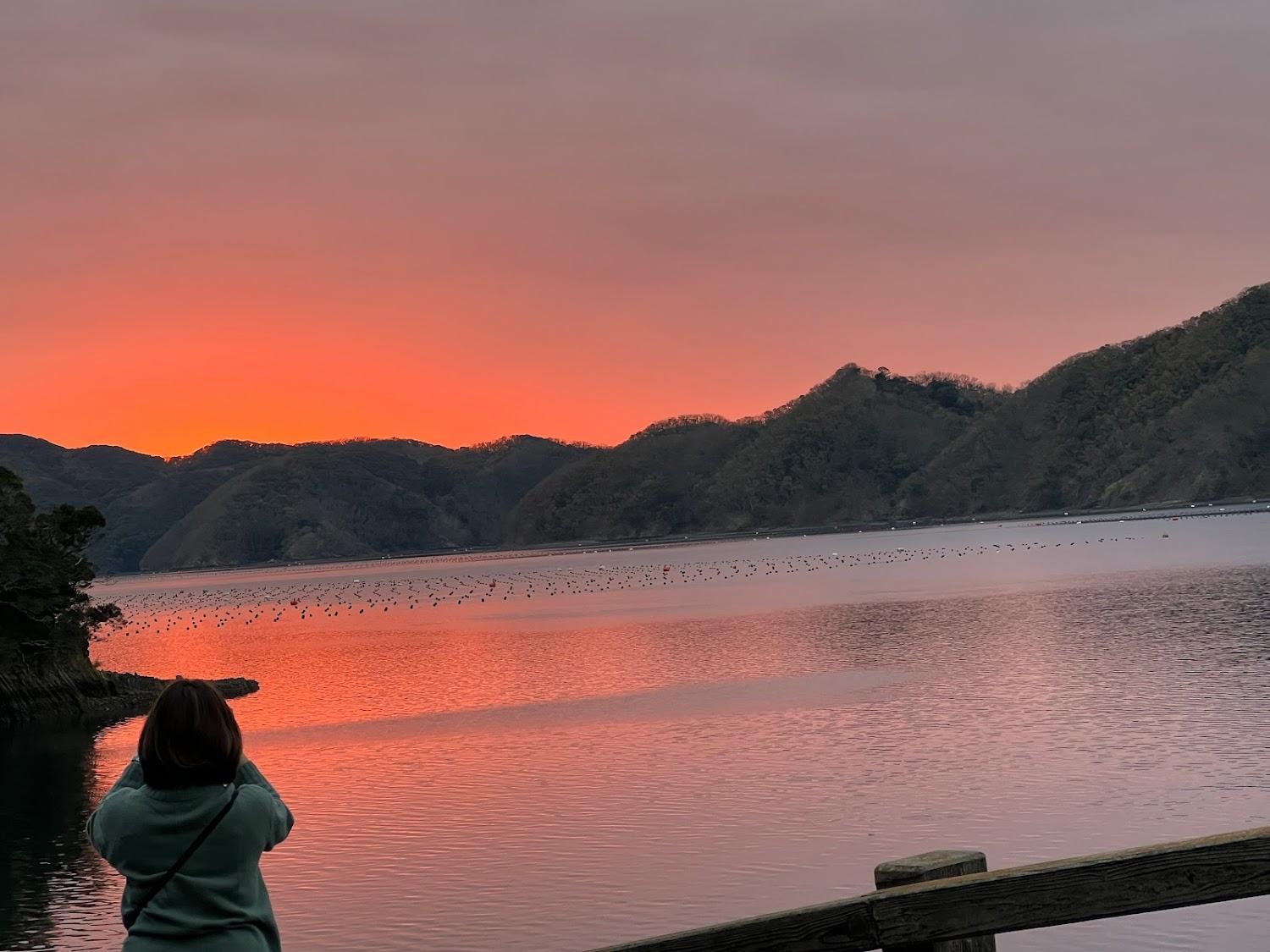 Cover Image for 桃李（梨）の里 民泊橘果樹園