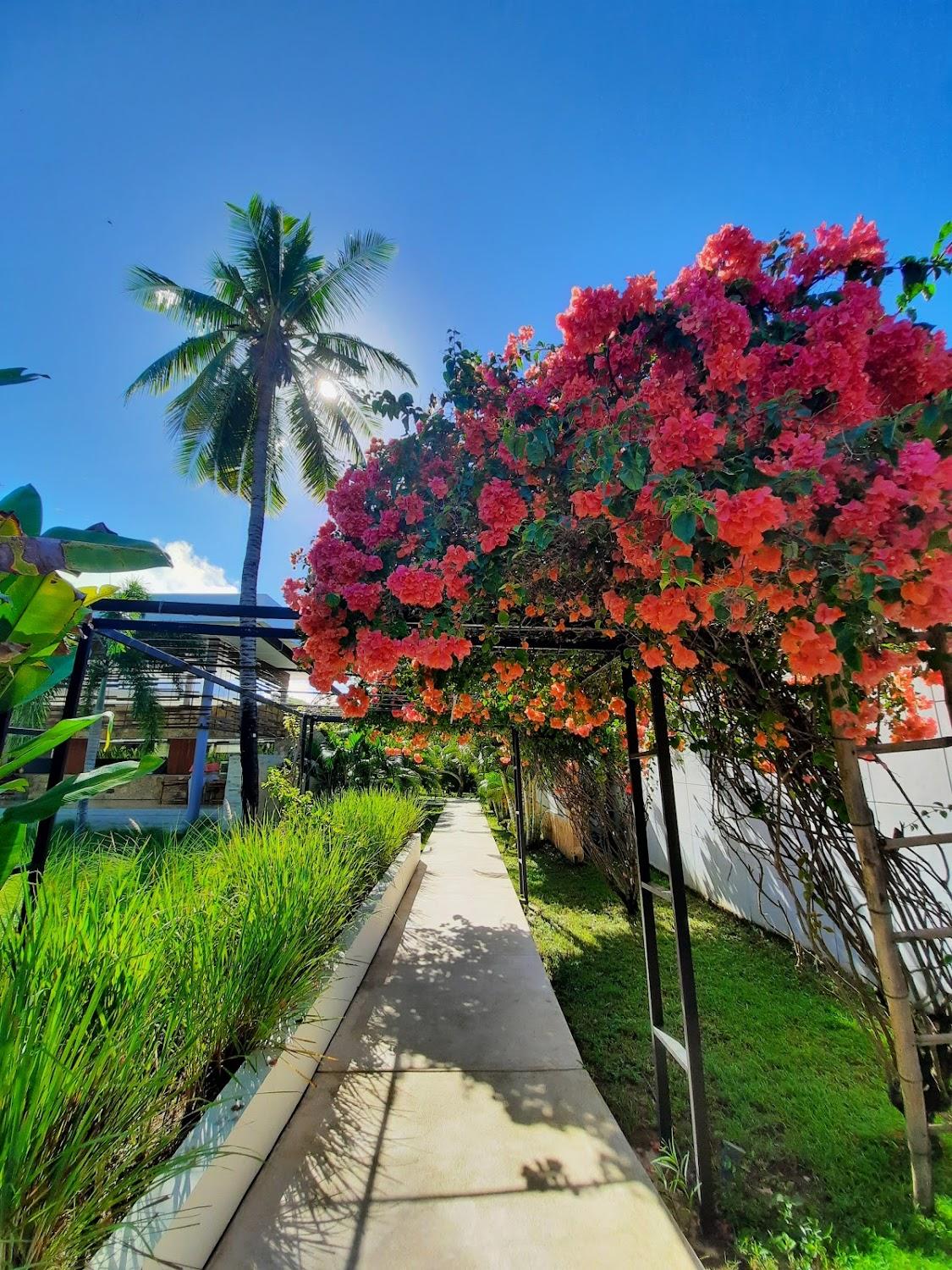 Cover Image for Origin Lombok