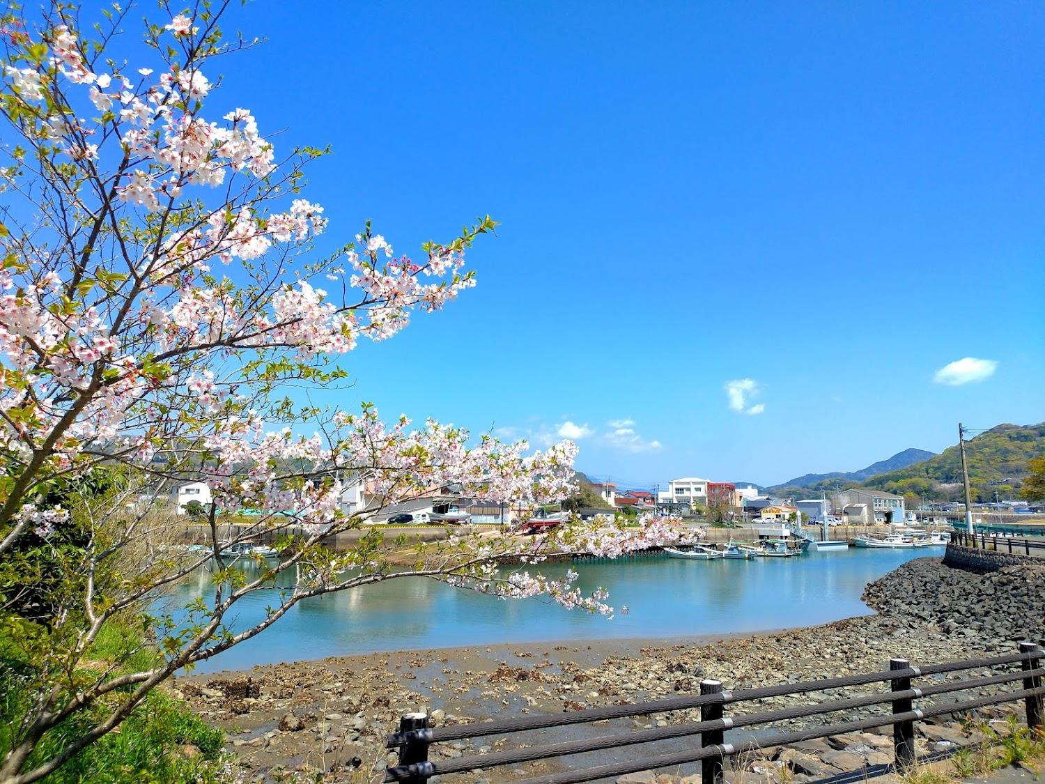 Cover Image for Kazusa Campground