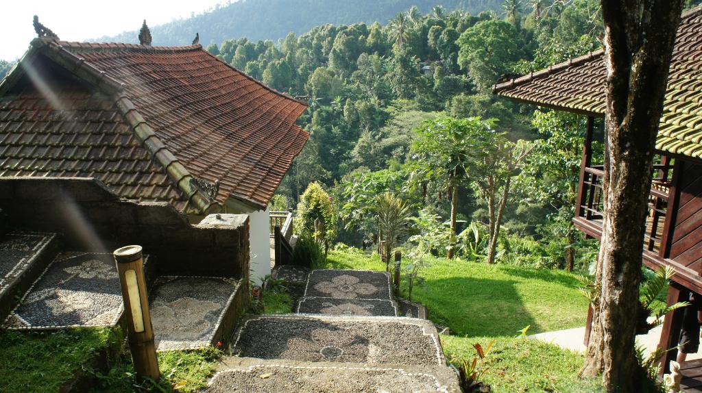 Cover Image for Melanting Cottages