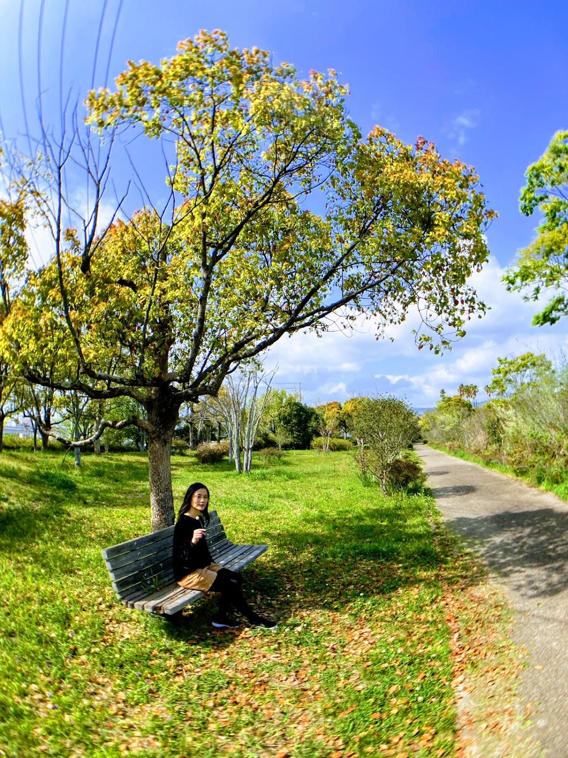 Cover Image for LuLuLu Guest House x Share House x Cafe