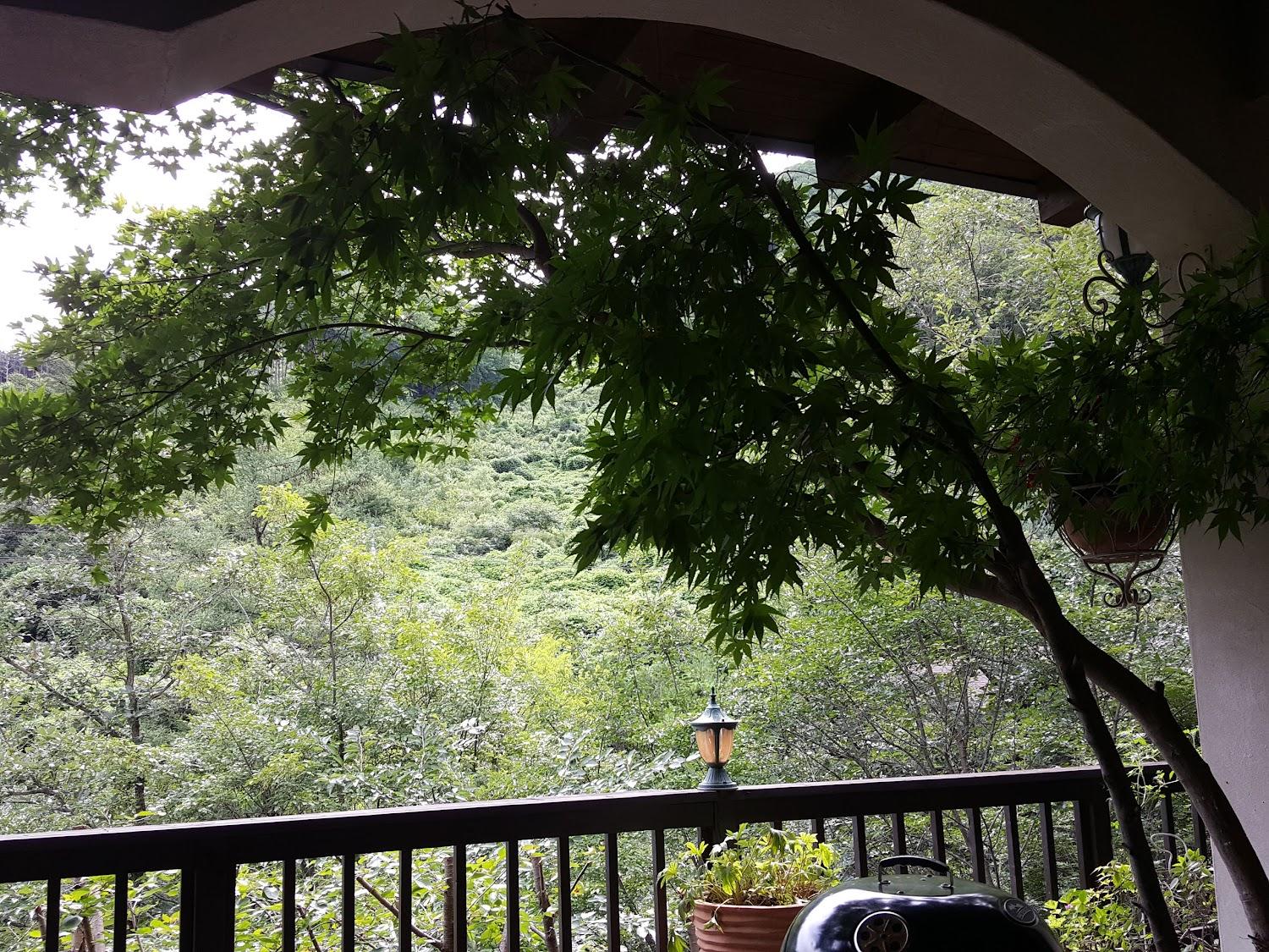 Cover Image for 유명산장 라벨르