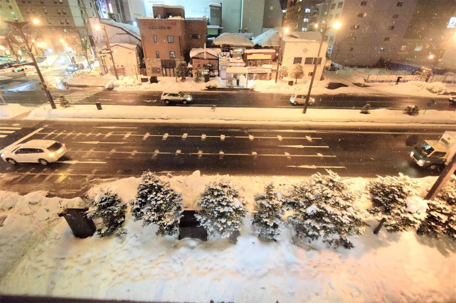 Cover Image for Daiwa Roynet Hotel Sapporo Susukino