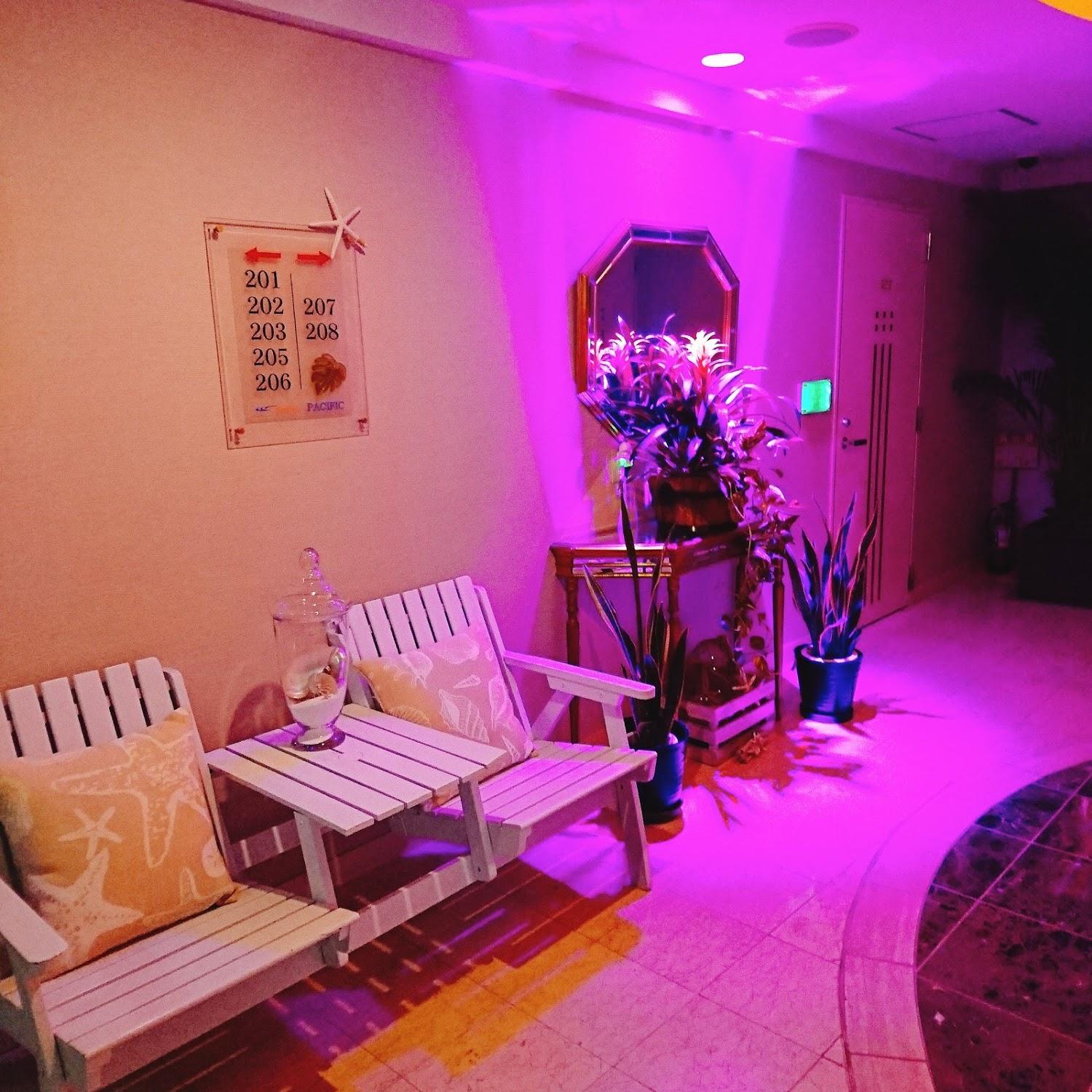 Cover Image for HOTEL PACIFIC
