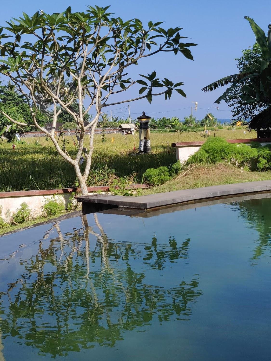 Cover Image for Villa Surya and Villa Chandra