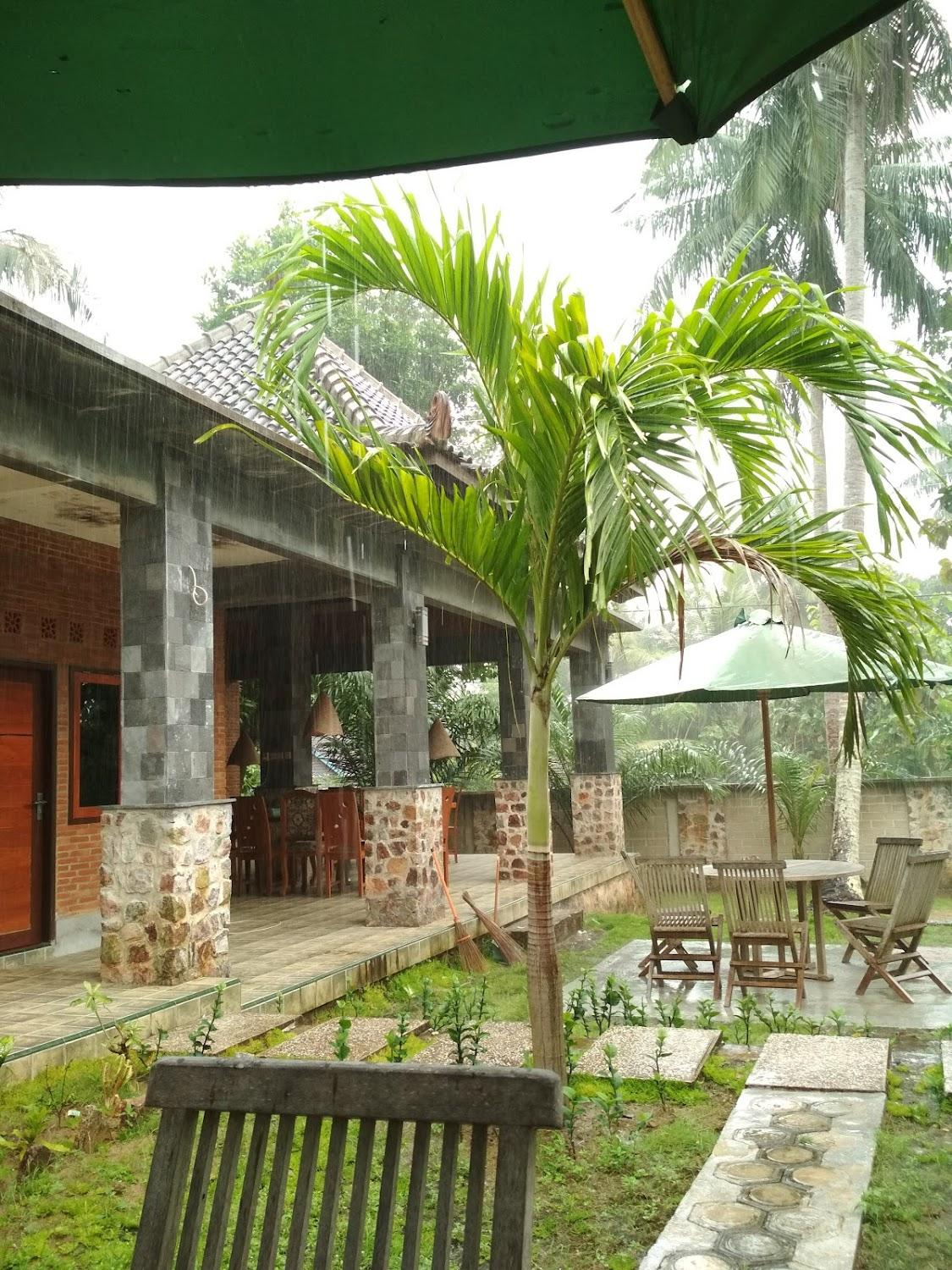 Cover Image for Clawdio Guest House