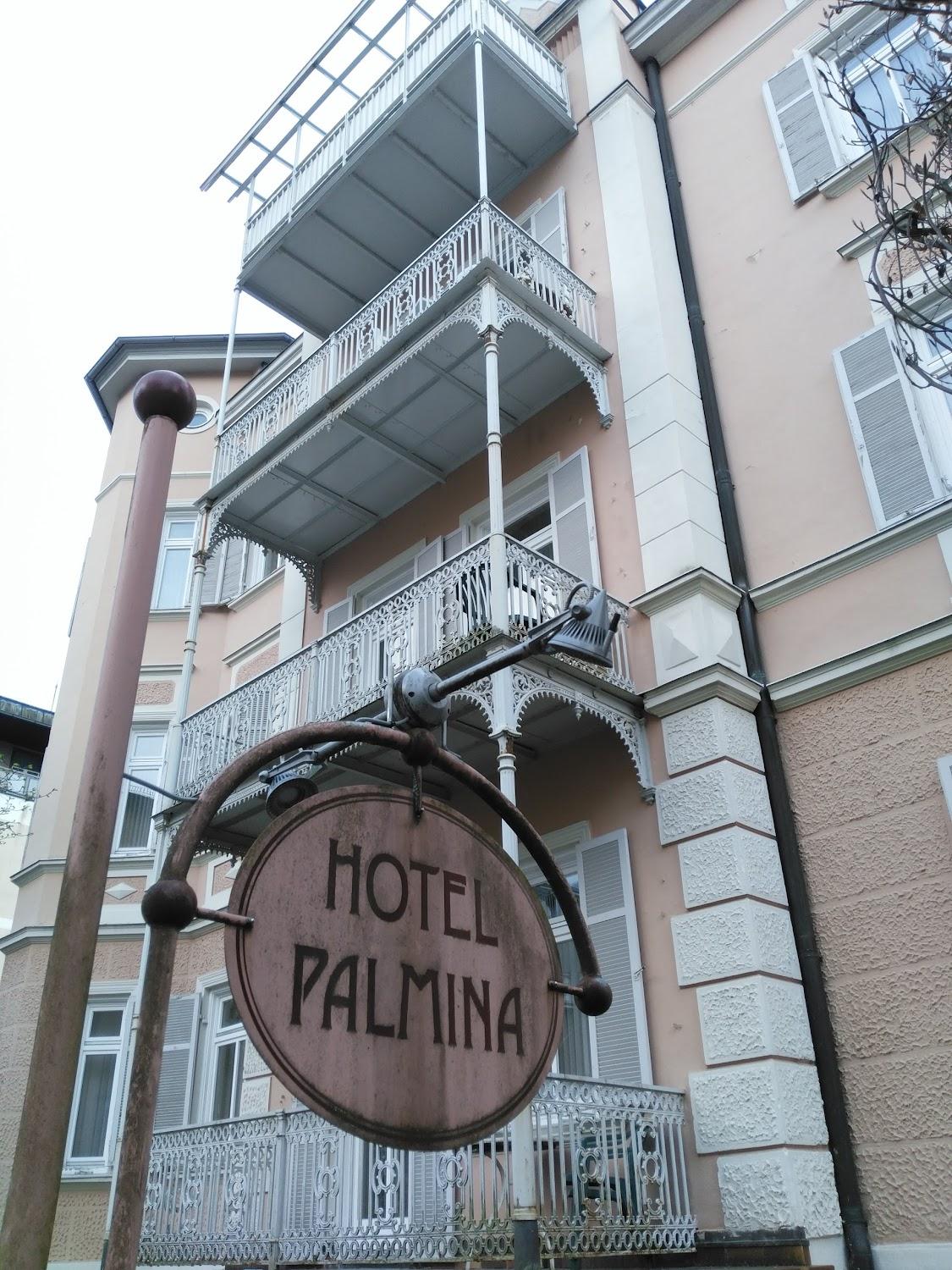Cover Image for Palmina