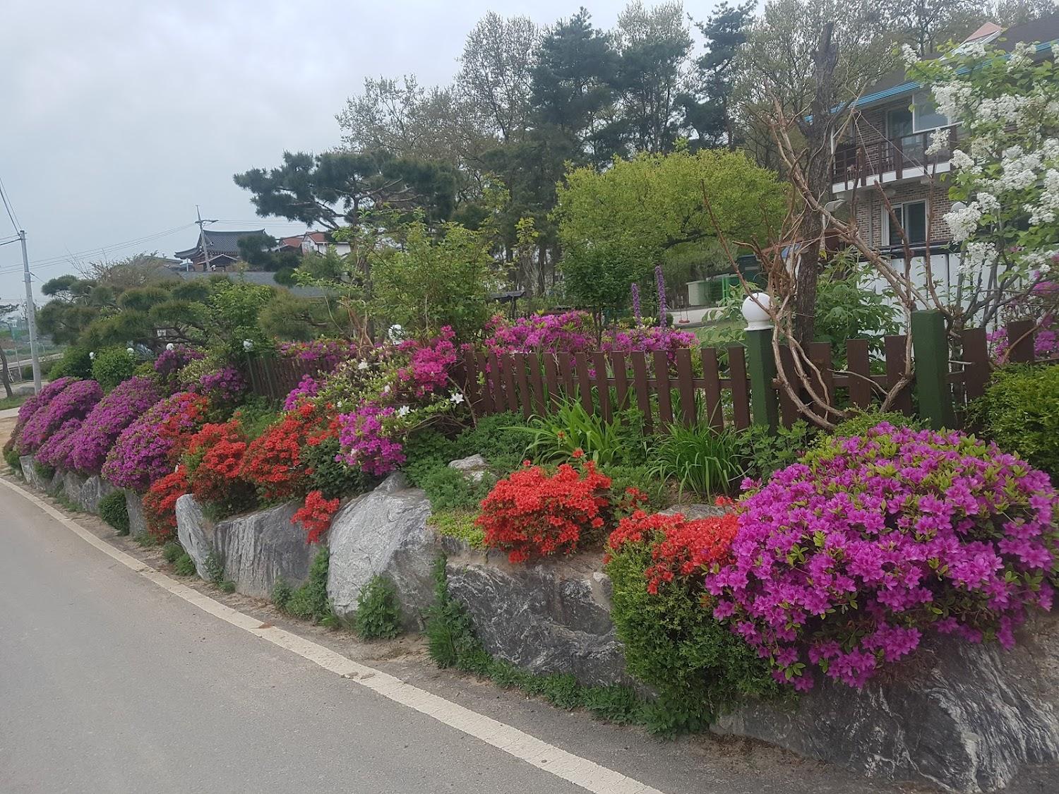Cover Image for 별아별아펜션