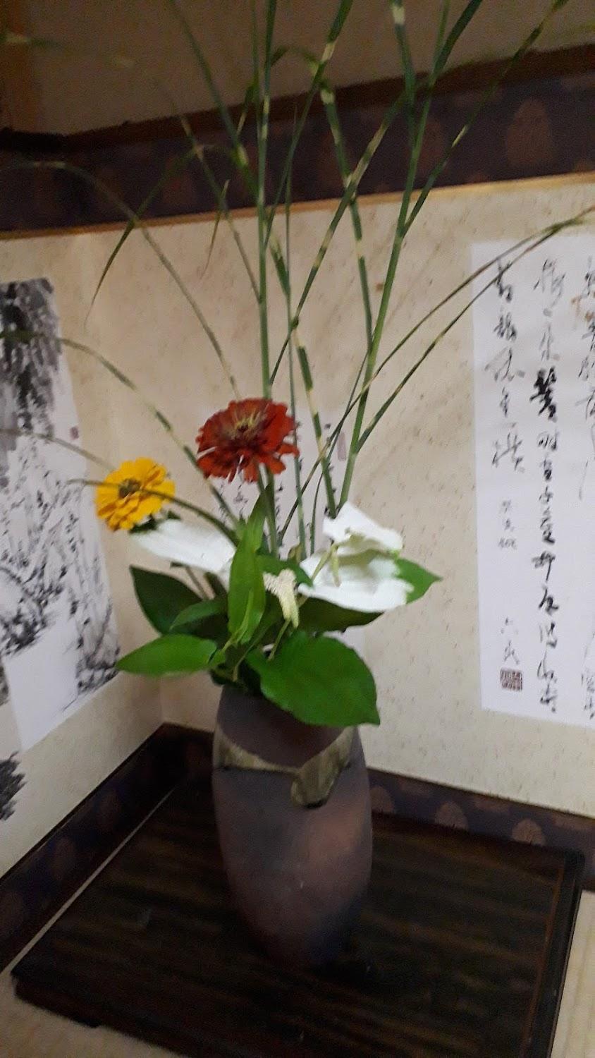 Cover Image for Shimango